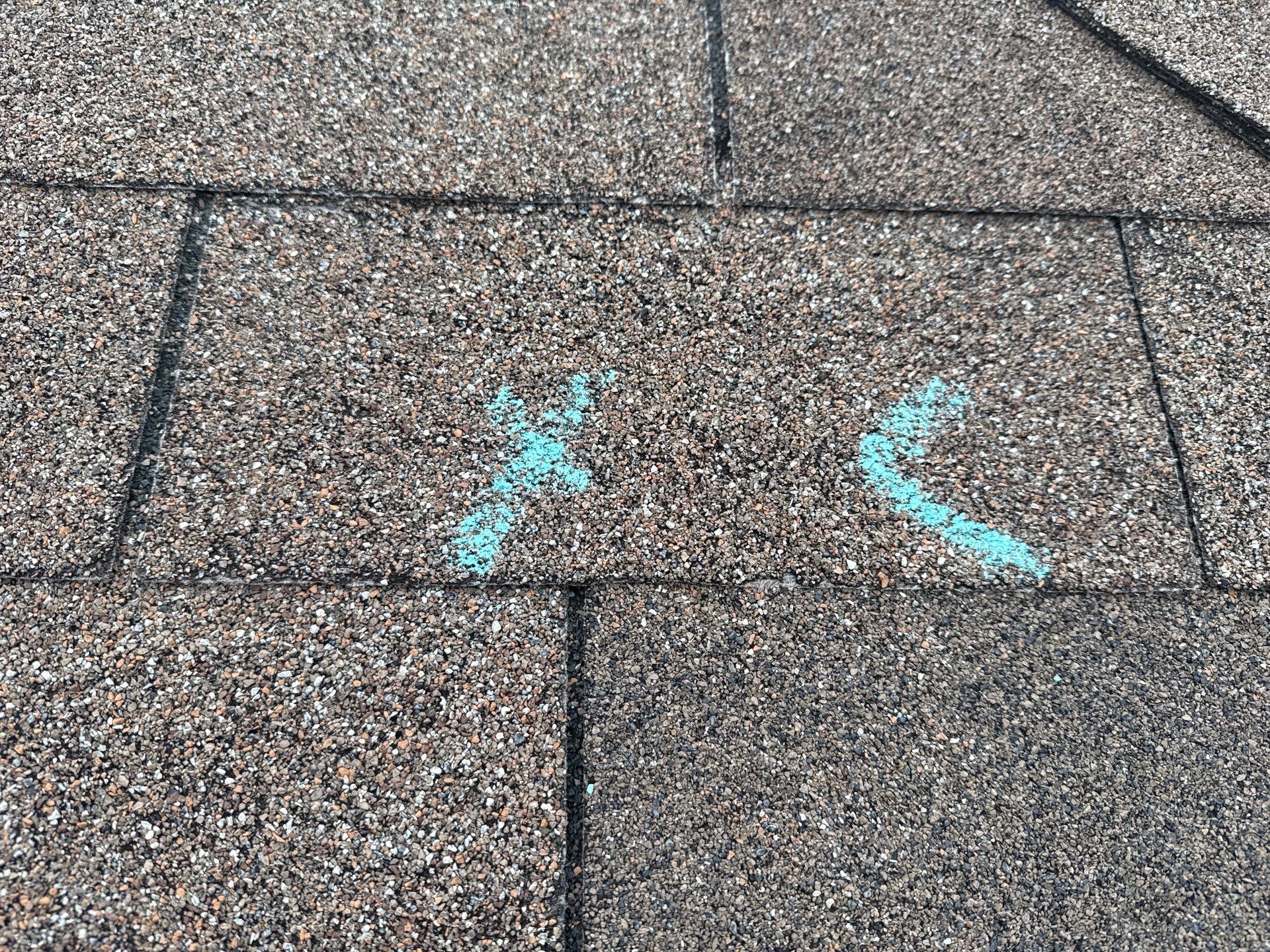 GAF Timberline NS, Pewter Gray  by Proline Roofing & Restoration LLC