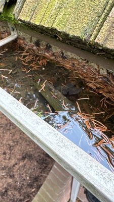 Turtle Shell gutter protection installation in St. Charles, IL 60174, photograph 14