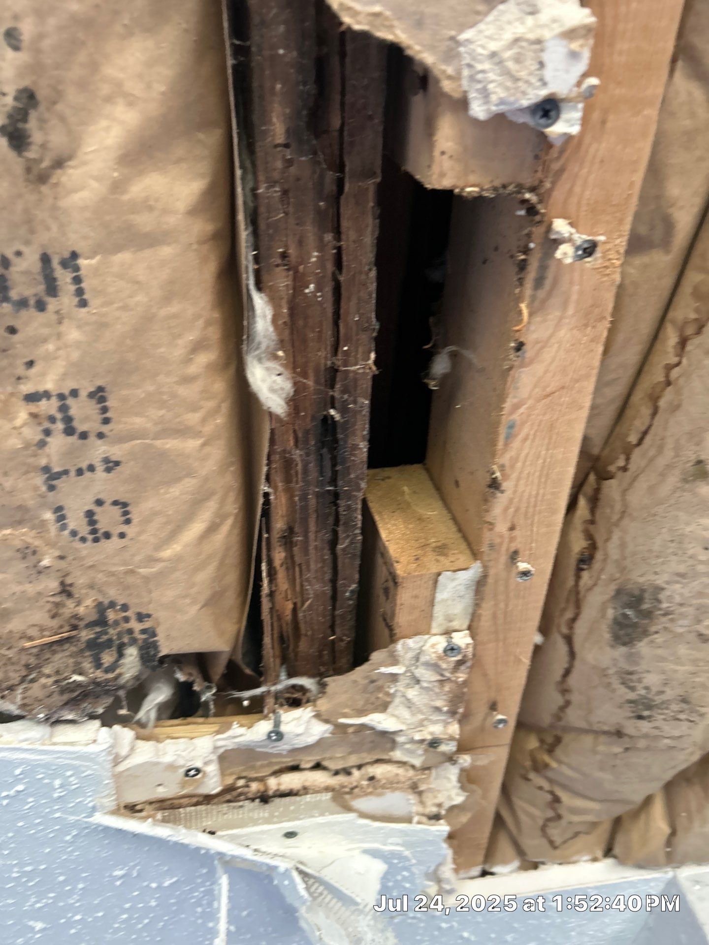 Mold Inspection & Mold Removal In St. Petersburg, FL by Ampm Restoration Services