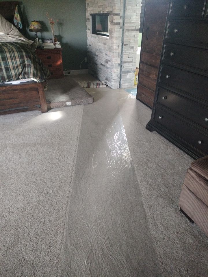 Mold Remediation by Accountable Home Services