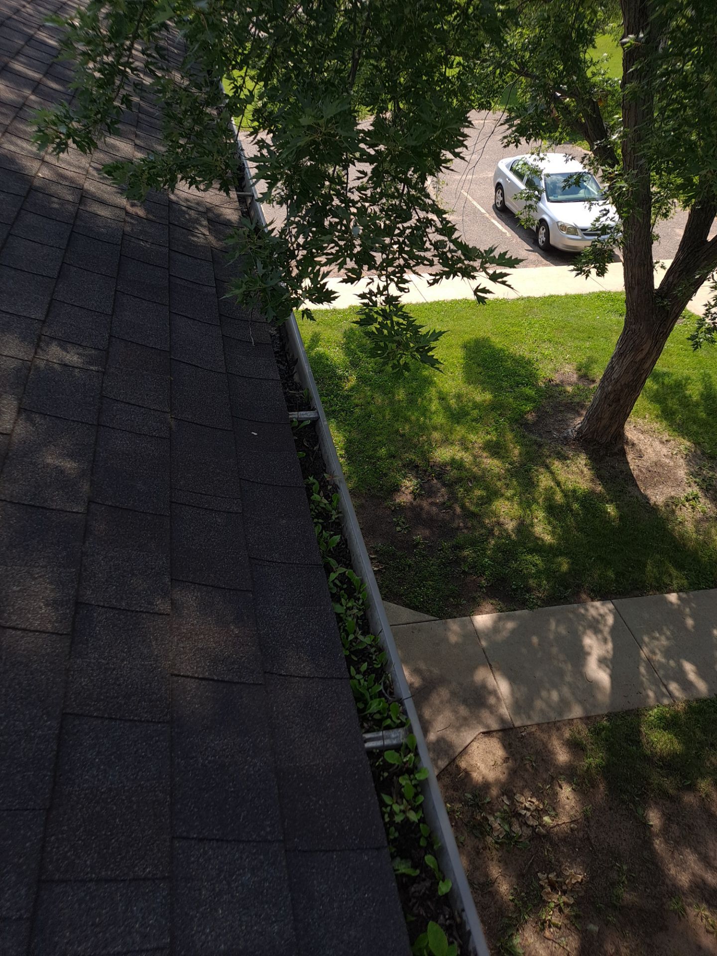 Commercial gutter cleaning St. Cloud, MN before photo with filled gutters