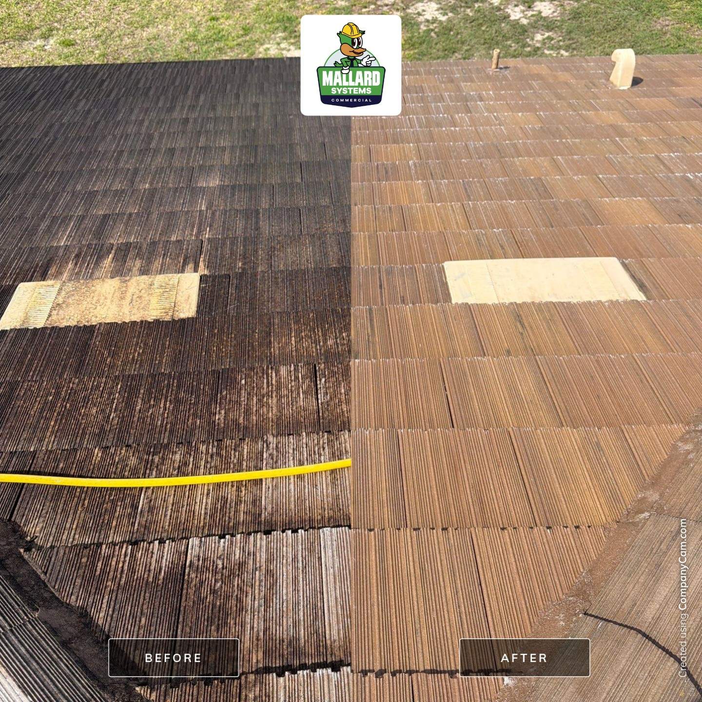 Roof Cleaning by Mallard Systems
