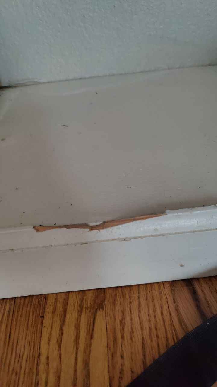 Water Damage by Accountable Home Services