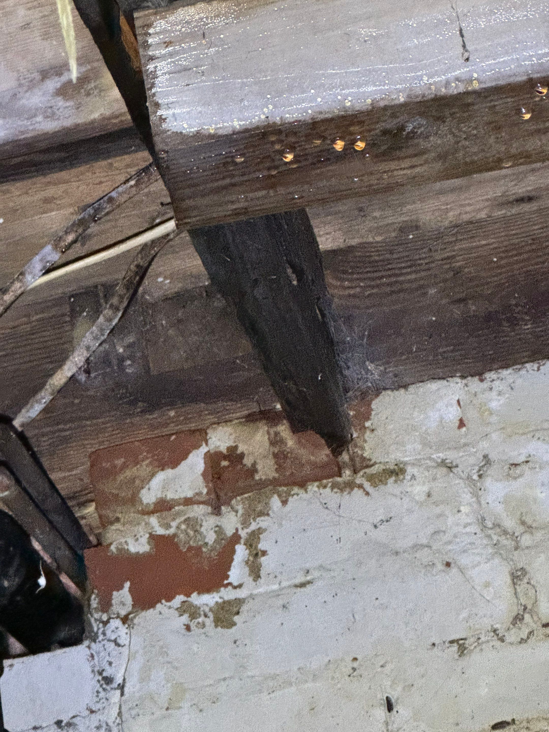 Full Home Remediation by Home Guarantee, LLC