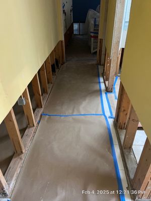 Mold Inspection And Removal Siesta Key FL 