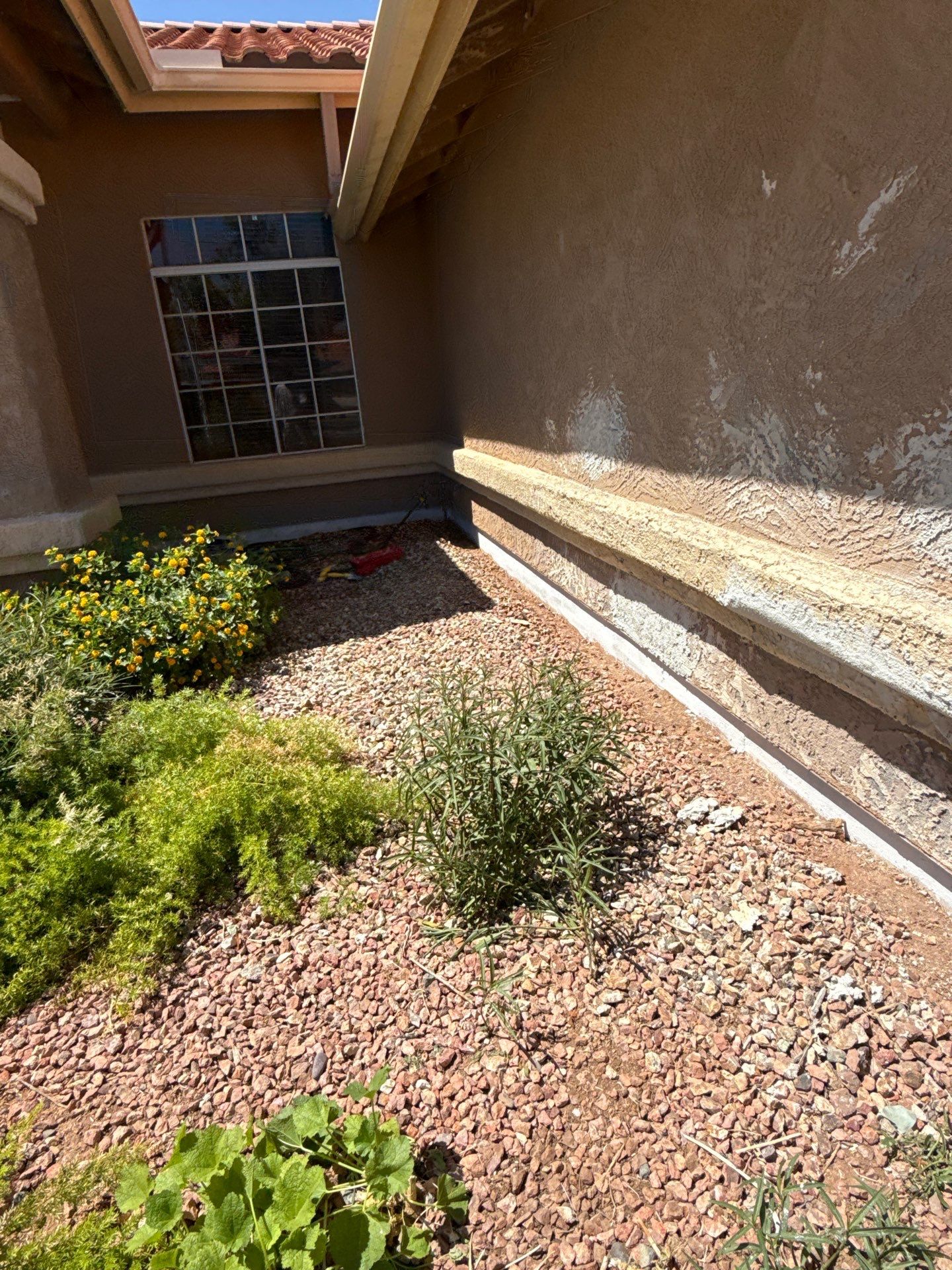 Exterior Painting - Chandler by Crash of Rhinos Painting & Garage Floors