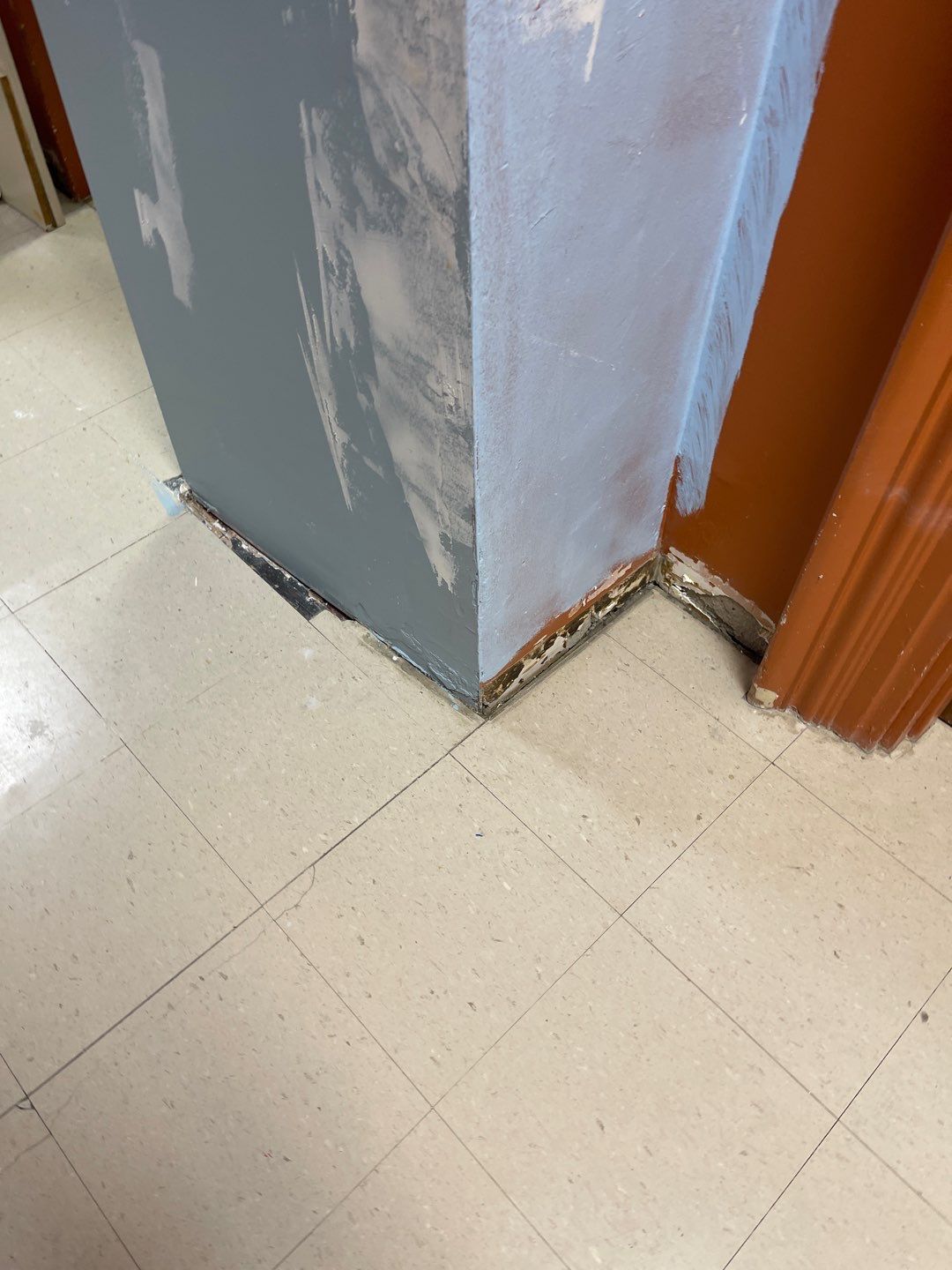 Cat Hospital Project in Pittsburgh by Floors in a Day, Inc