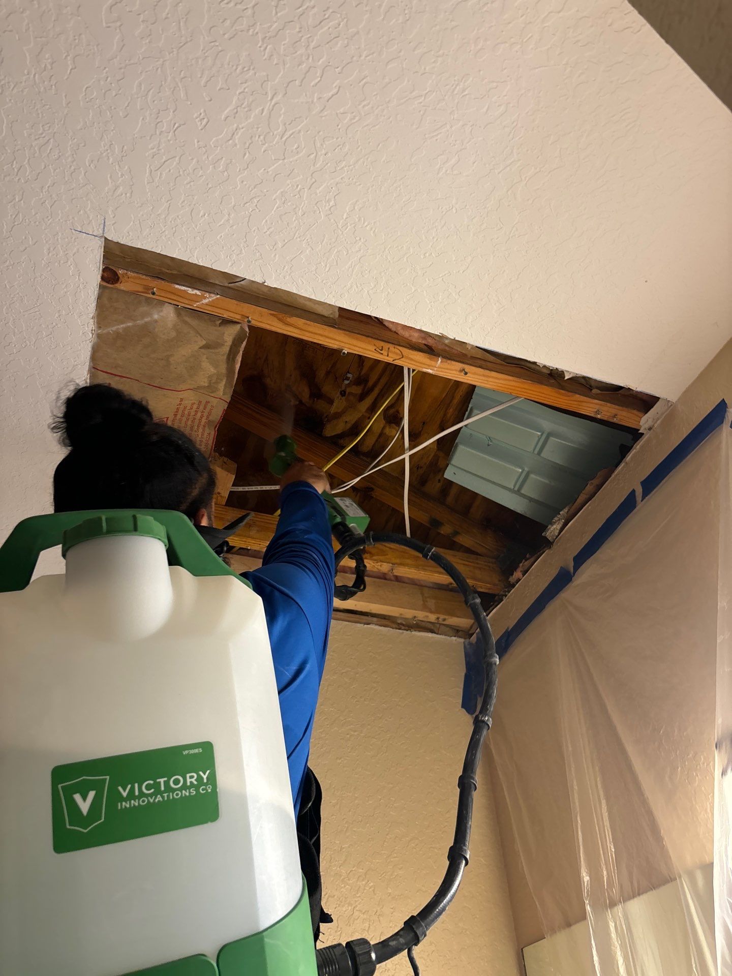 Mold Damage Removal by Ampm Restoration Services