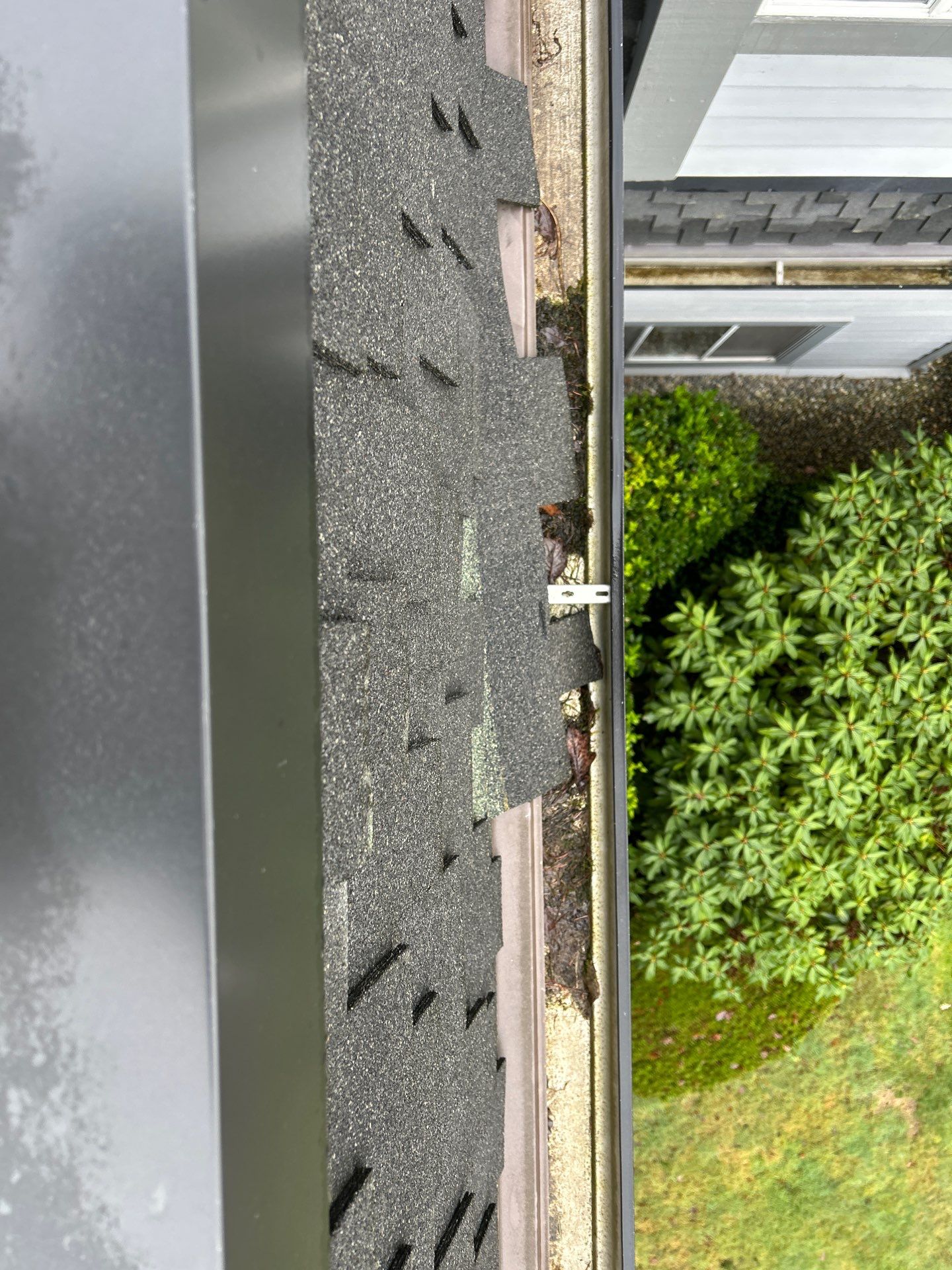 Project in Kirkland by Peaks and Valleys Construction