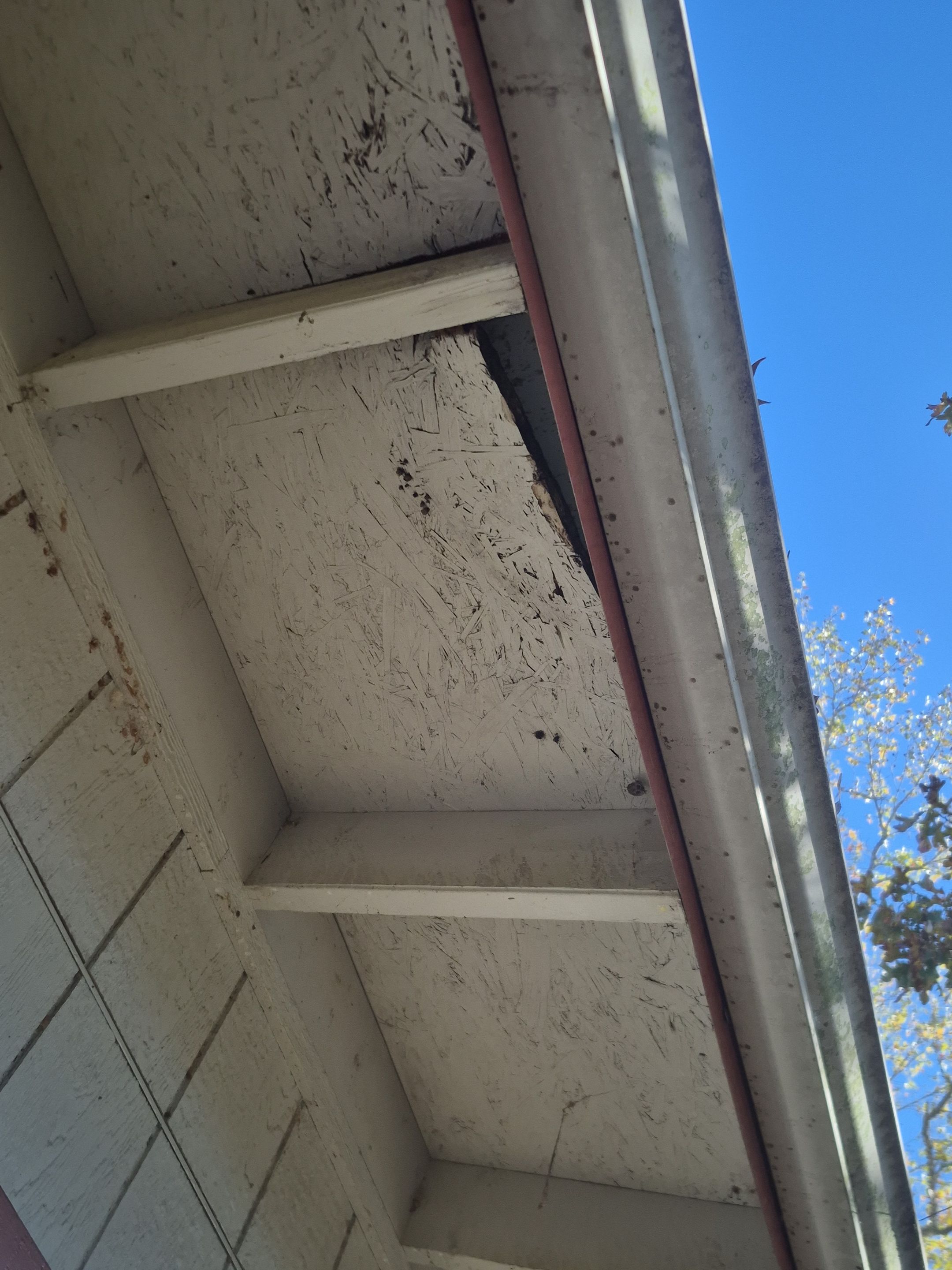 Exterior Repaint – Mineola, Texas - Move in Ready Now!! by Quality Coats Painting