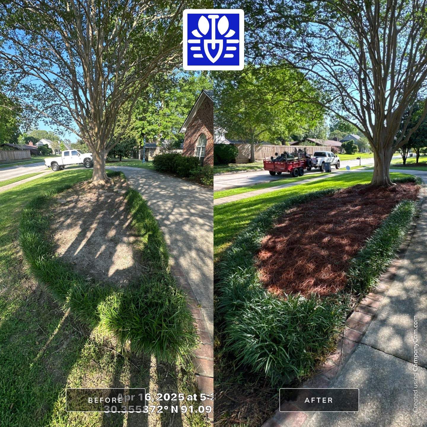 RESIDENTIAL LAWN, MAINTENANCE AND LANDSCAPING by CutScape, LLC.
