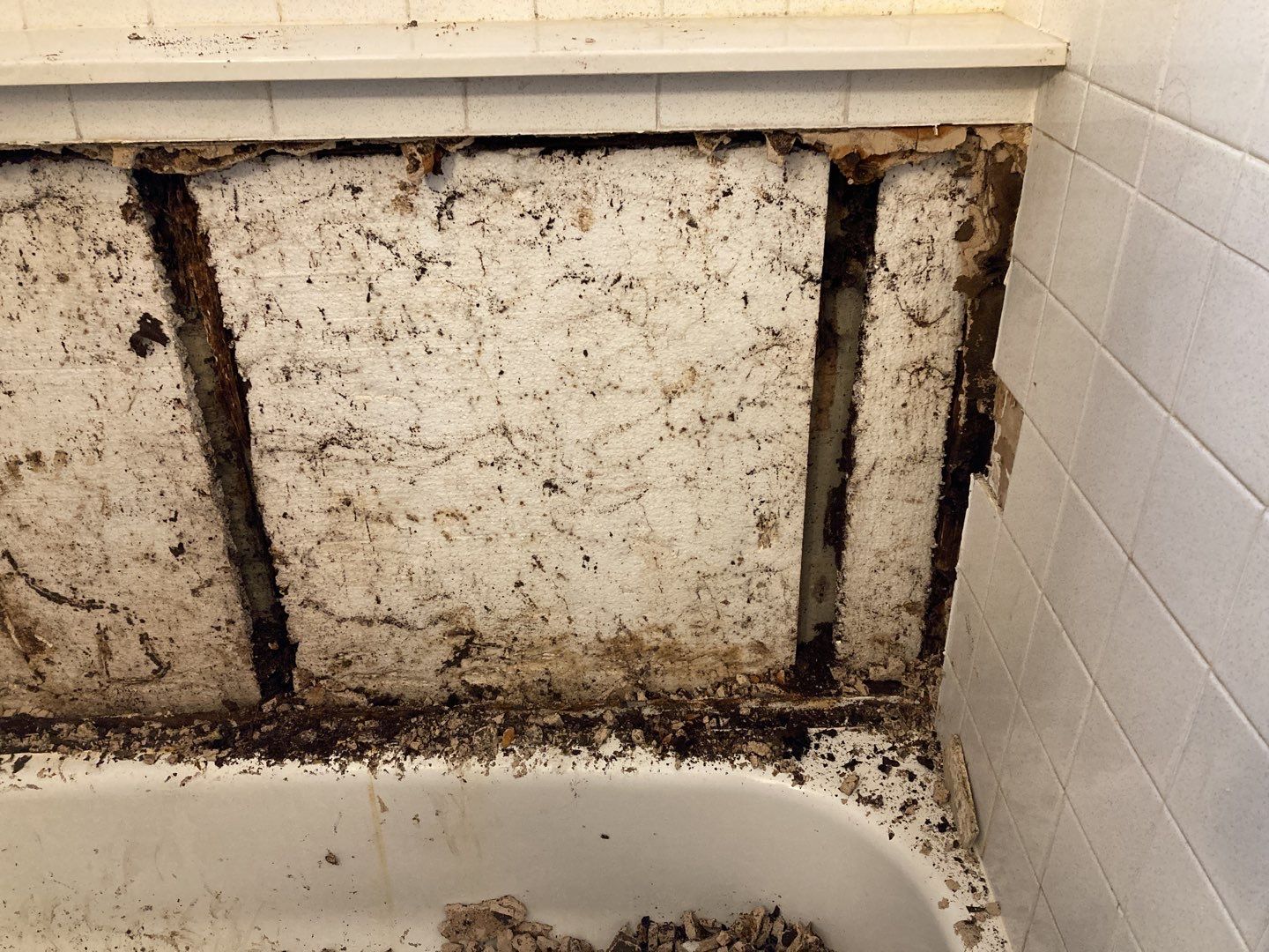 Mold Remediation in Bathroom by Accountable Home Services