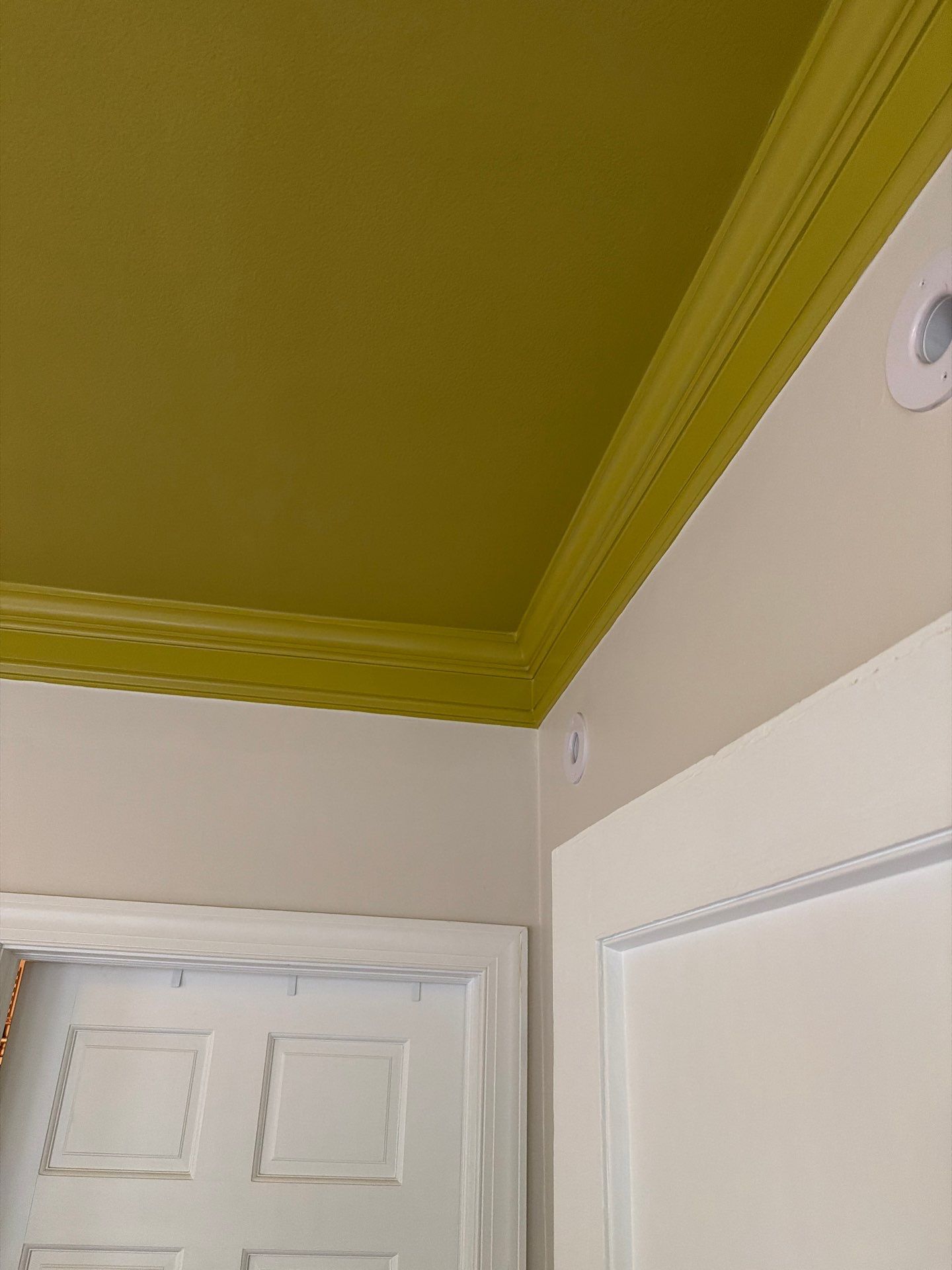 Soft Contrast and Seamless Design in Roxborough ✨ by Groovy Hues