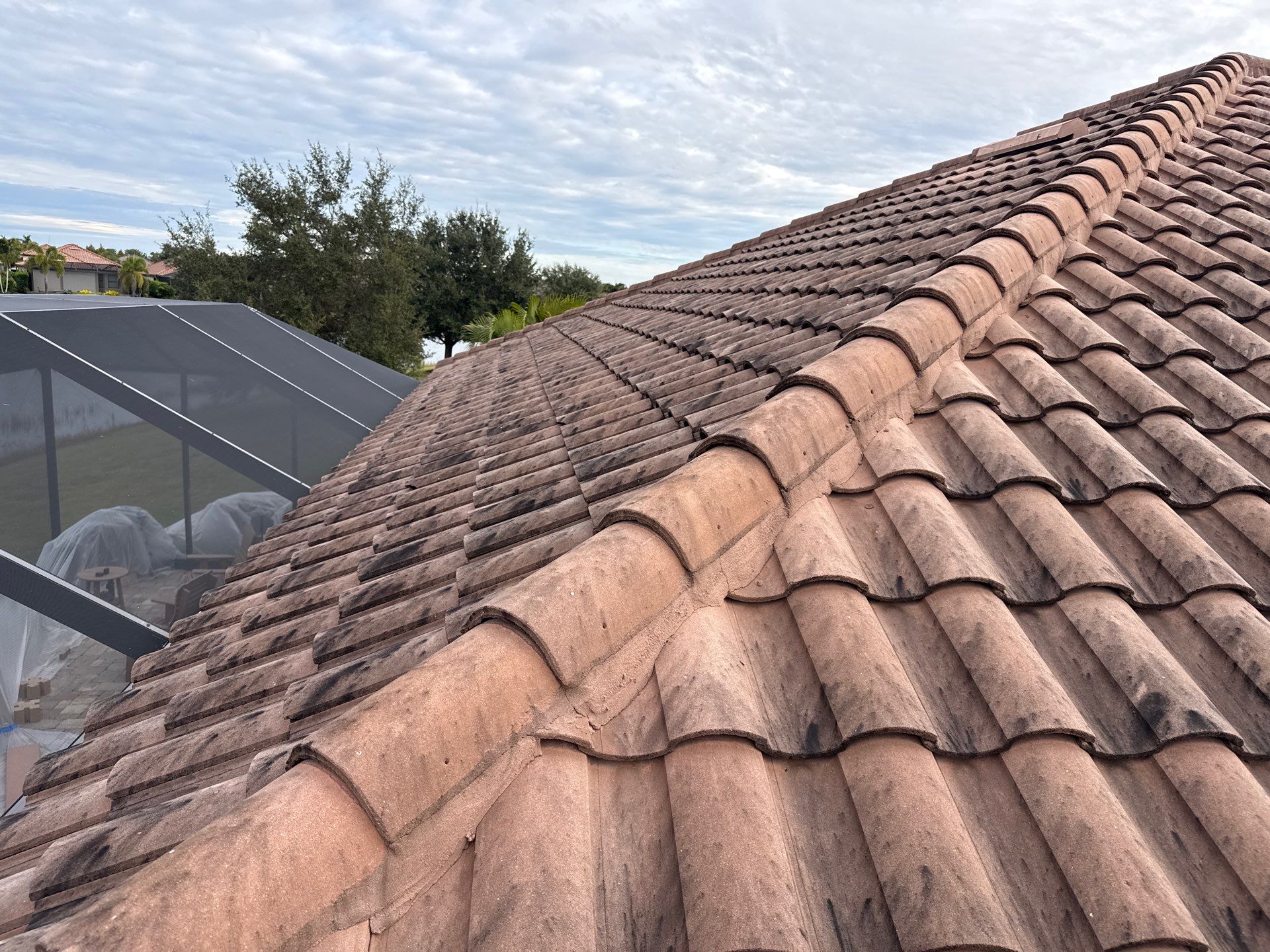 🌿 Tile Roof Cleaning in Lakewood Ranch — Safe for Plants & Tortoise-Friendly! 🐢✨ by Sunshine AquaWash