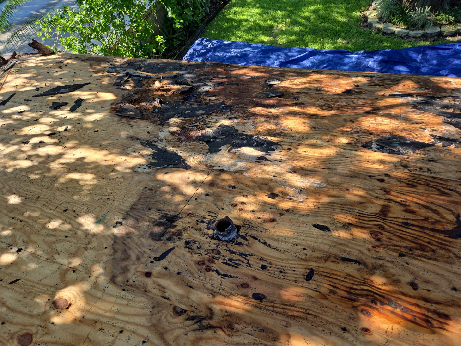 Project in Pinellas Park 33781 by Mitchell Roofing Company LLC 