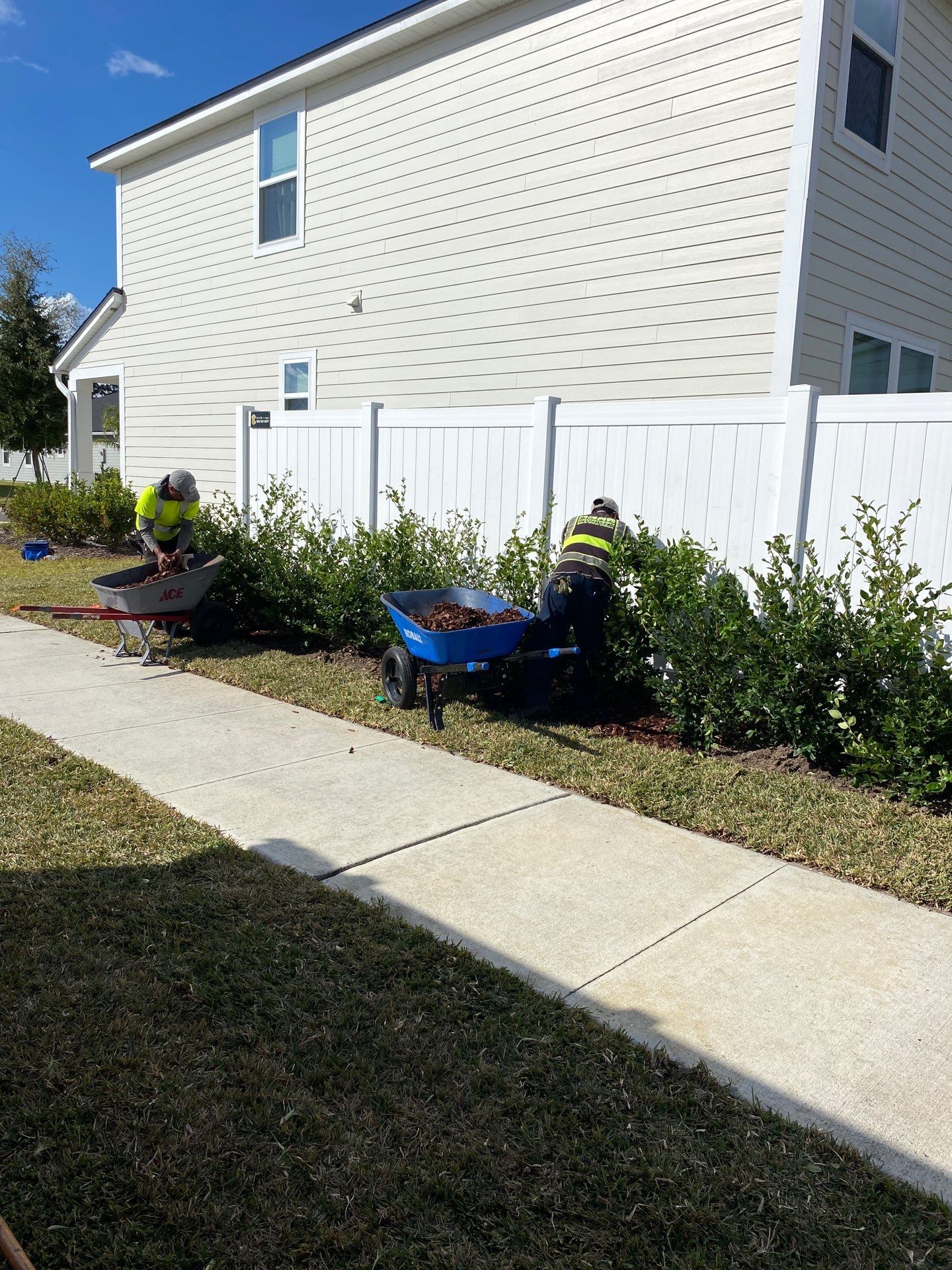 Sod & Shrub Install | Residential  by ProGreen Services