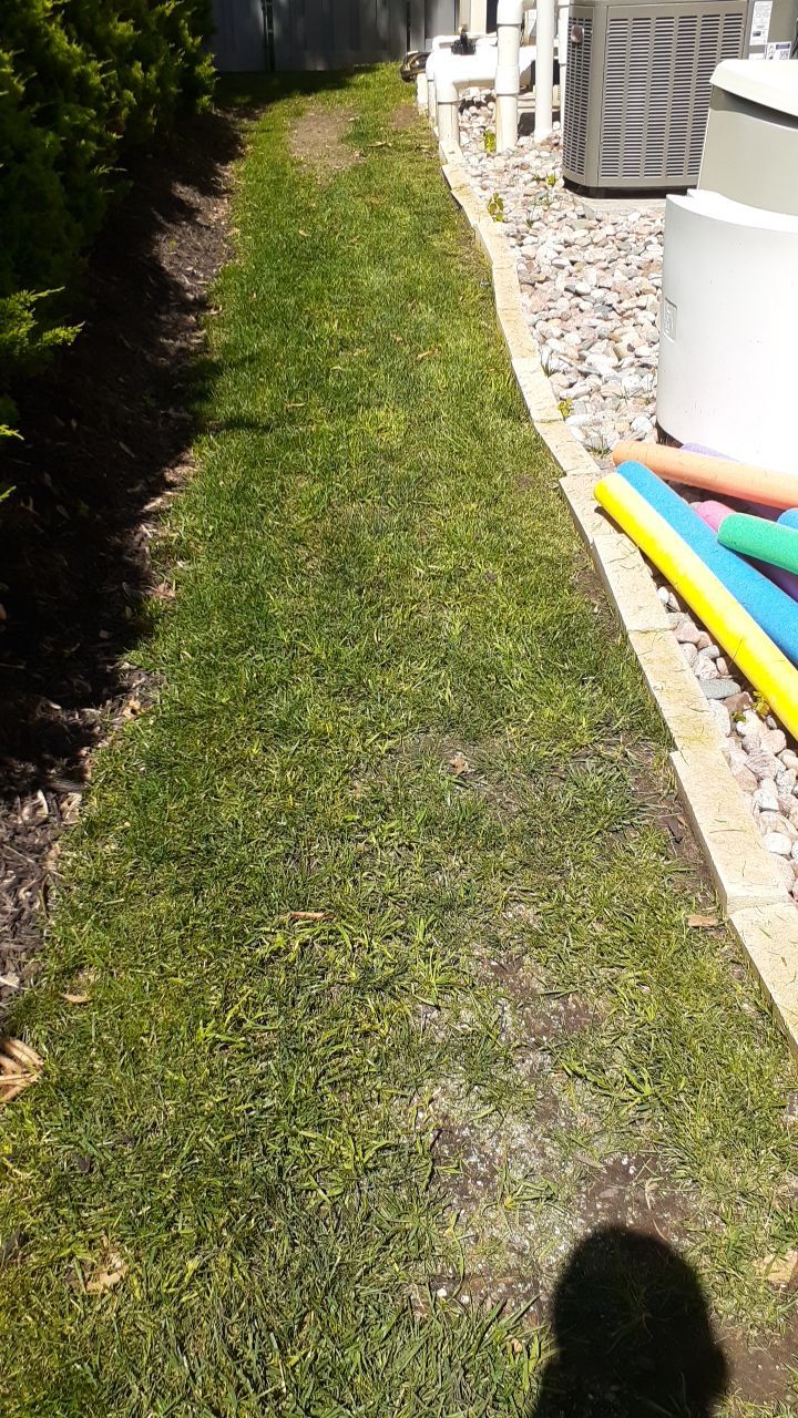 Back Yard Pool Sidewalk and Landscape by LAND ESCAPES LLC