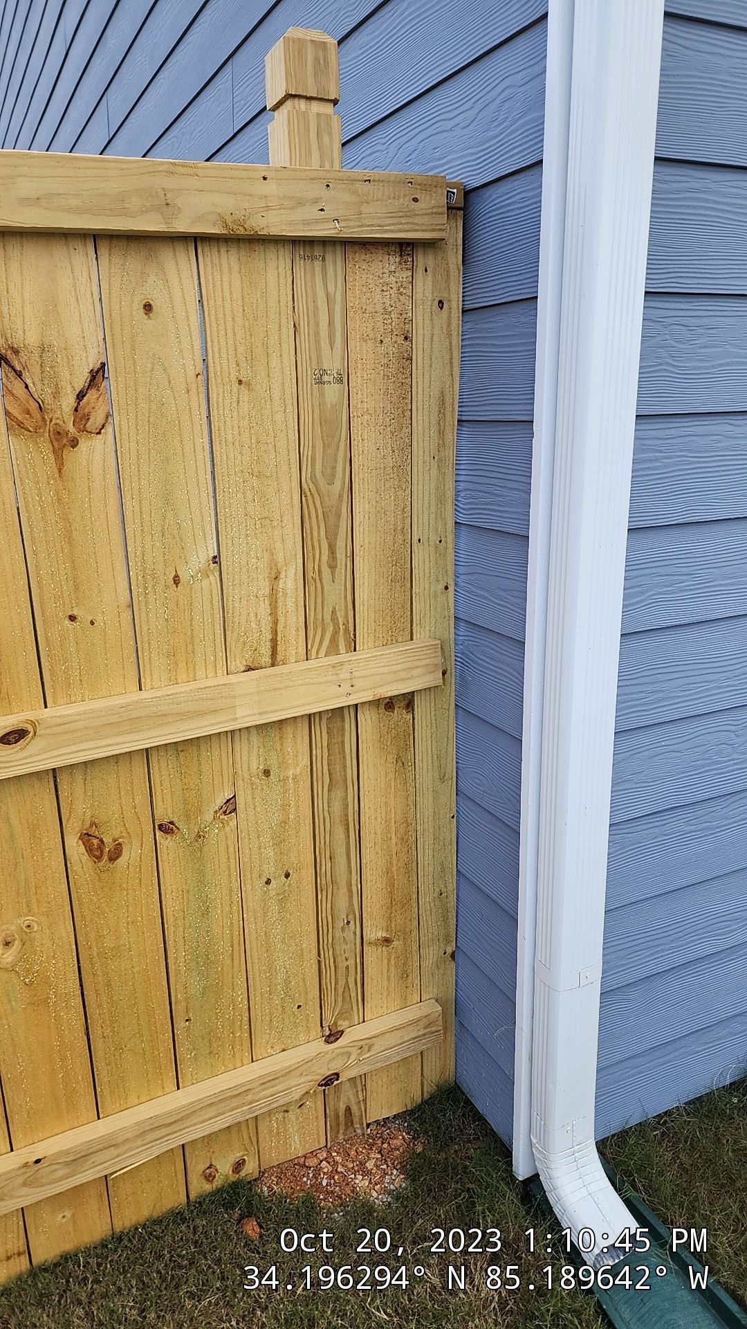 Fence Staining using Chestnut by SSE by Titans of Timber Fence & Stain