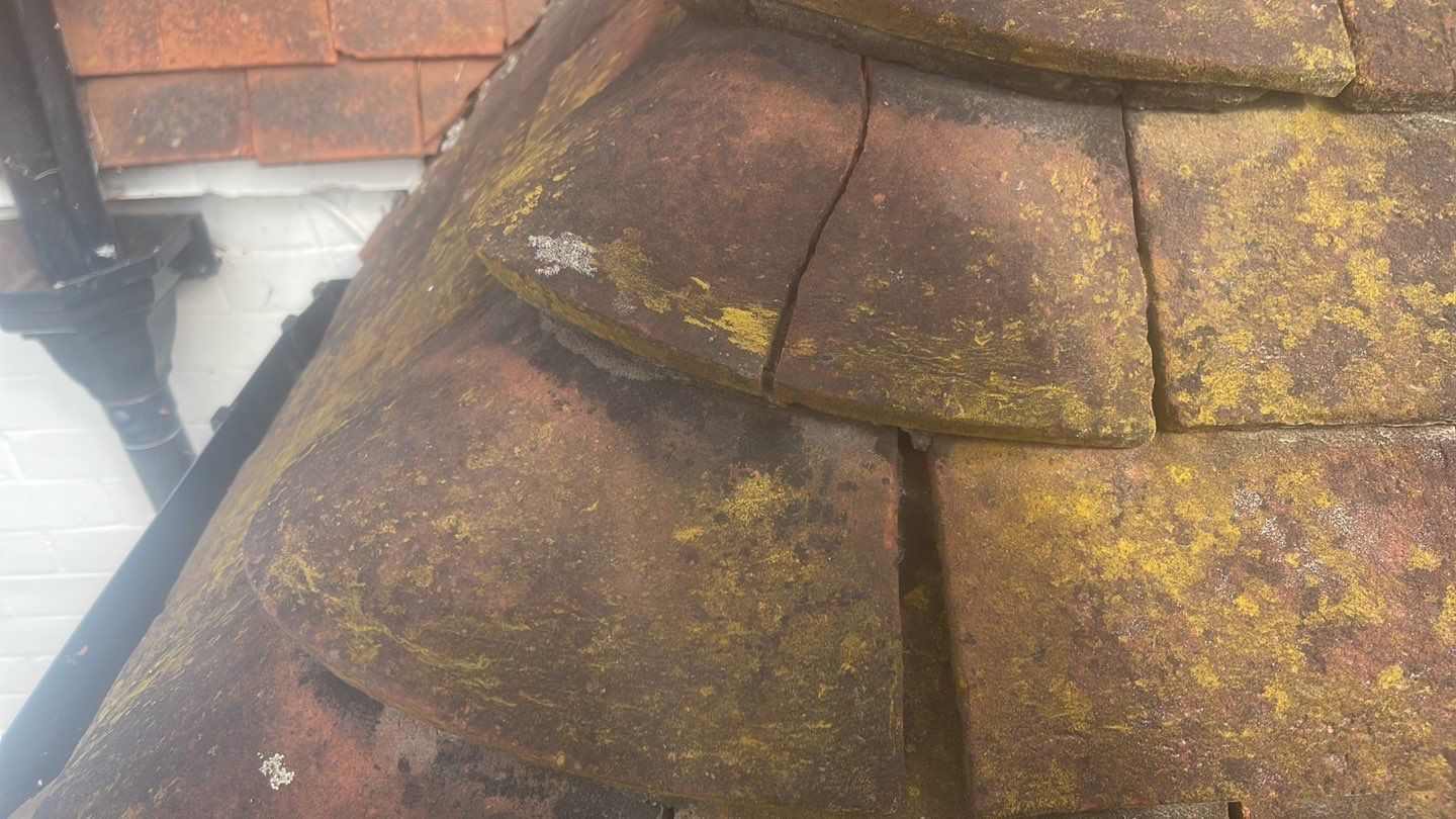 Roof Clean - Biocide Treatment using Honda 15lpm Low Pressure Washing Machine by Ges Exterior Cleaning ltd