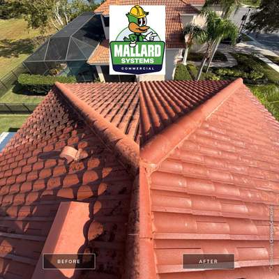 Barrel Tile Roof Cleaning