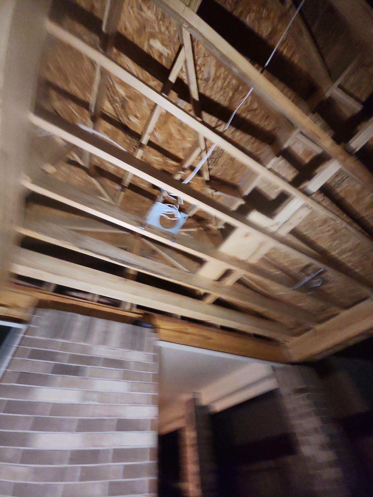 The Gillespie Family by SophAlx LLC