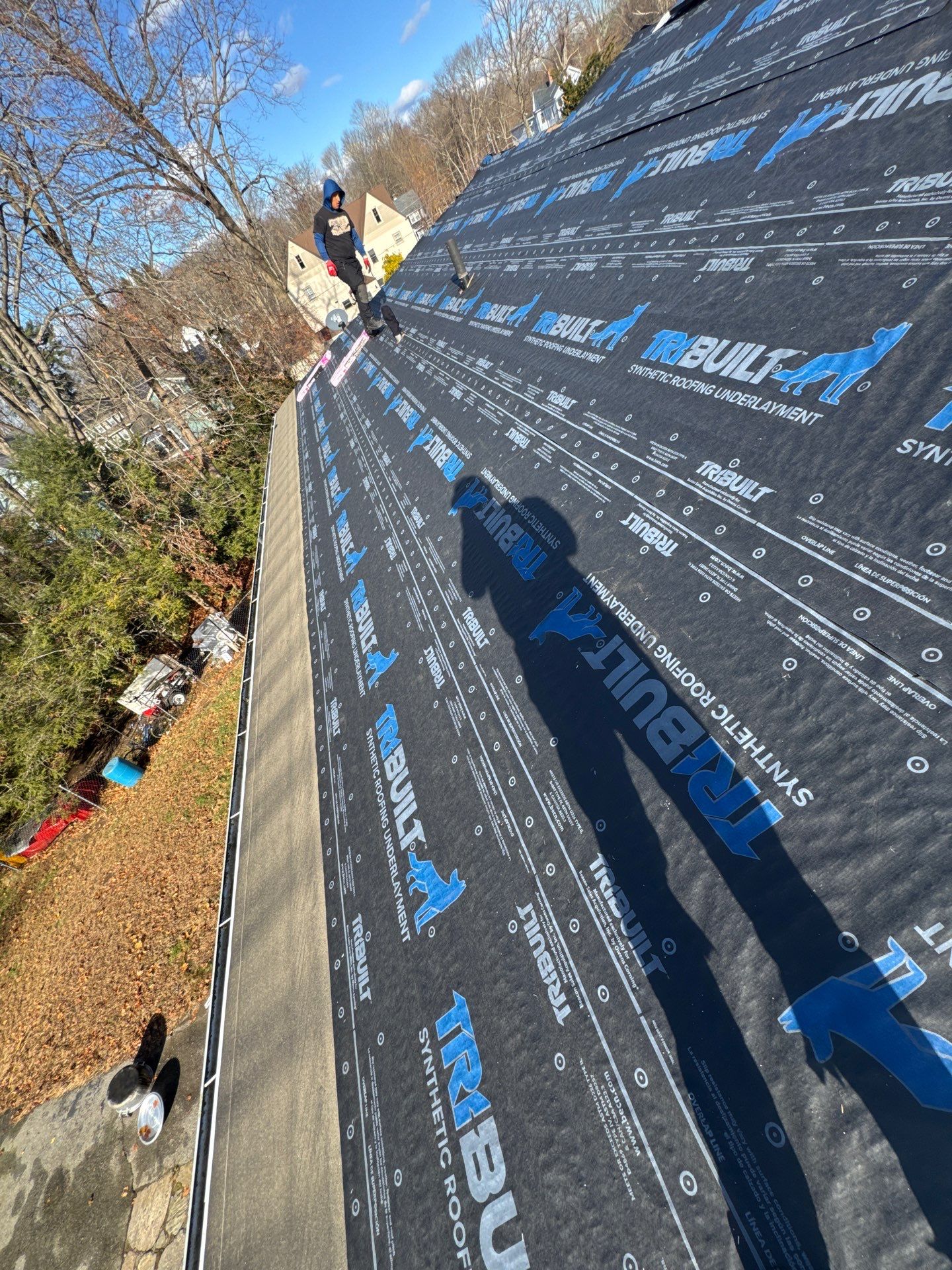 Silver Birch Shingles by Reimagine Roofing