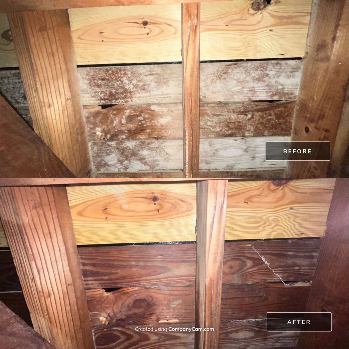 Limited Mold Remediation by EAS Environmental, LLC.