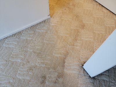 Post Dry Out, Water Stain Removal