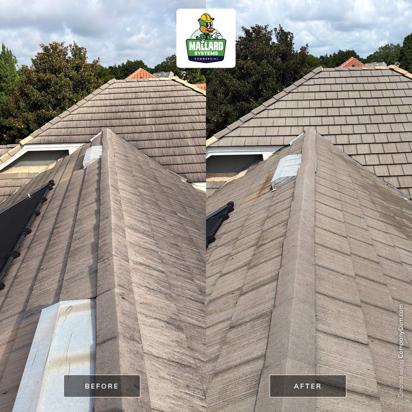 Professional Tile Roof Cleaning in Dr. Phillips by Mallard Systems