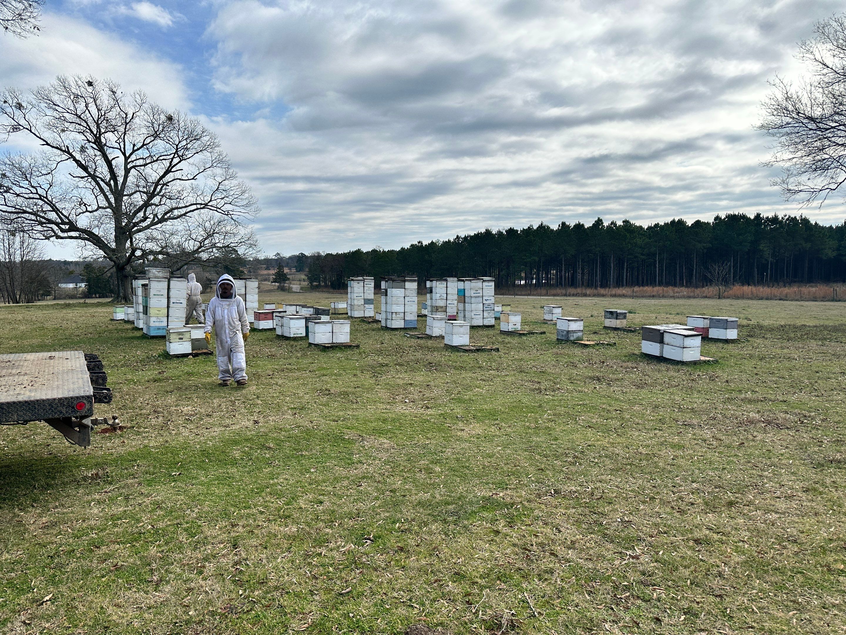 Peanut Farm Apiary by Rockwall Honey Bee Company
