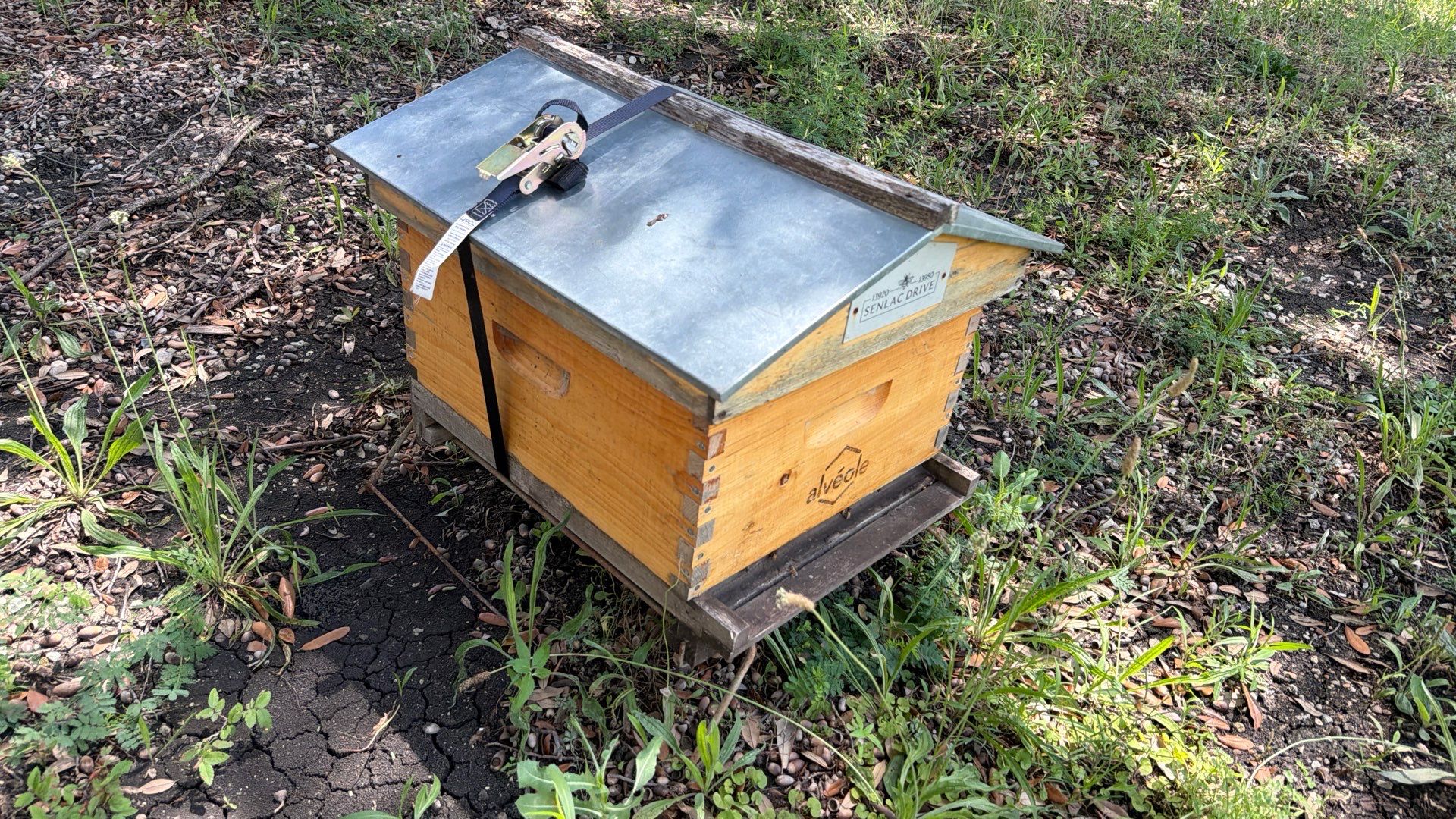 Industrial Bees by Rockwall Honey Bee Company