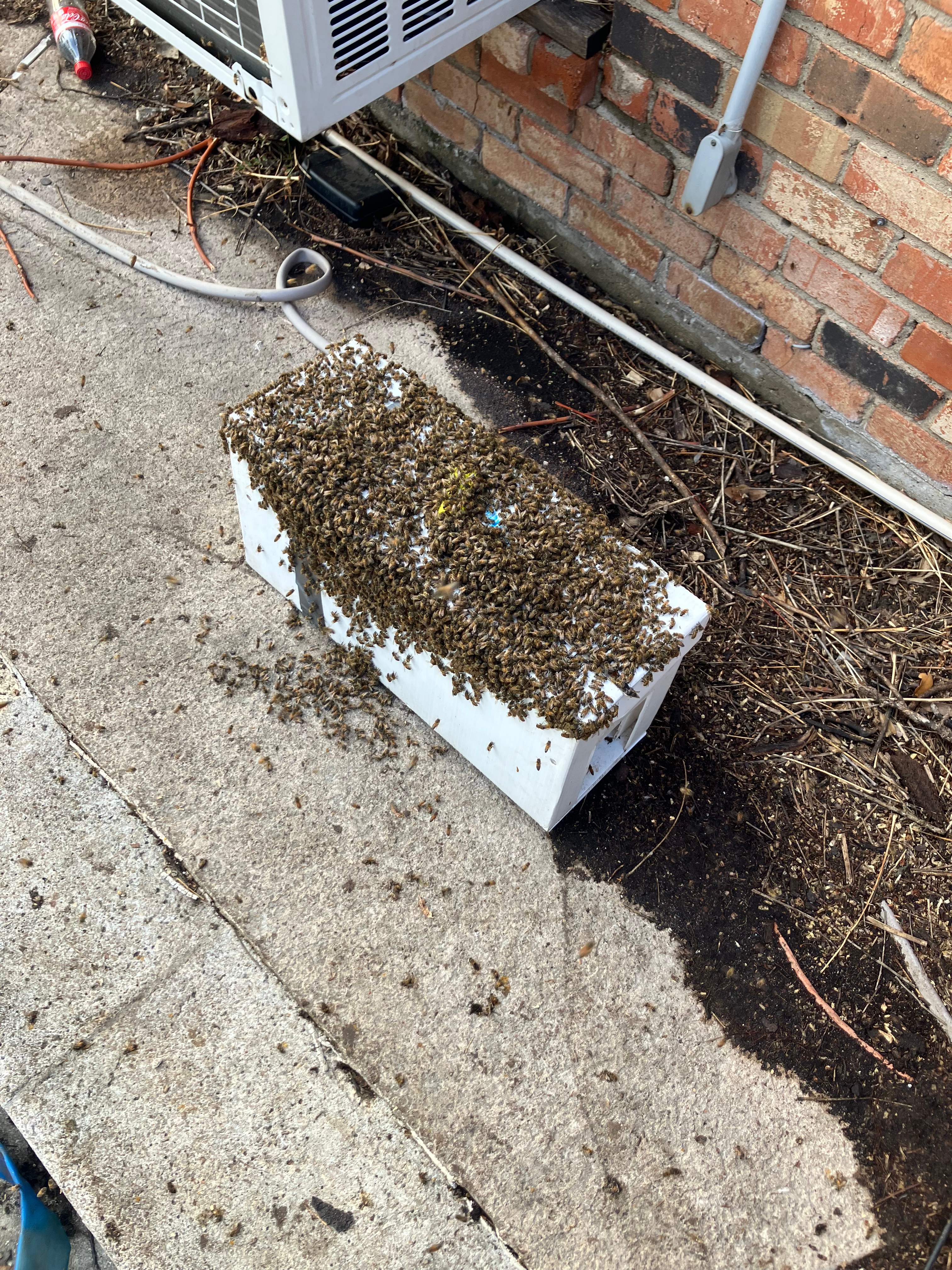 Improper Repair by Rockwall Honey Bee Company