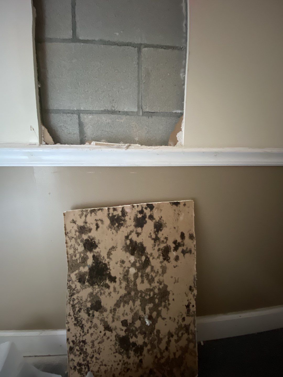 Mold Remediation in Barracks by EAS Environmental, LLC.