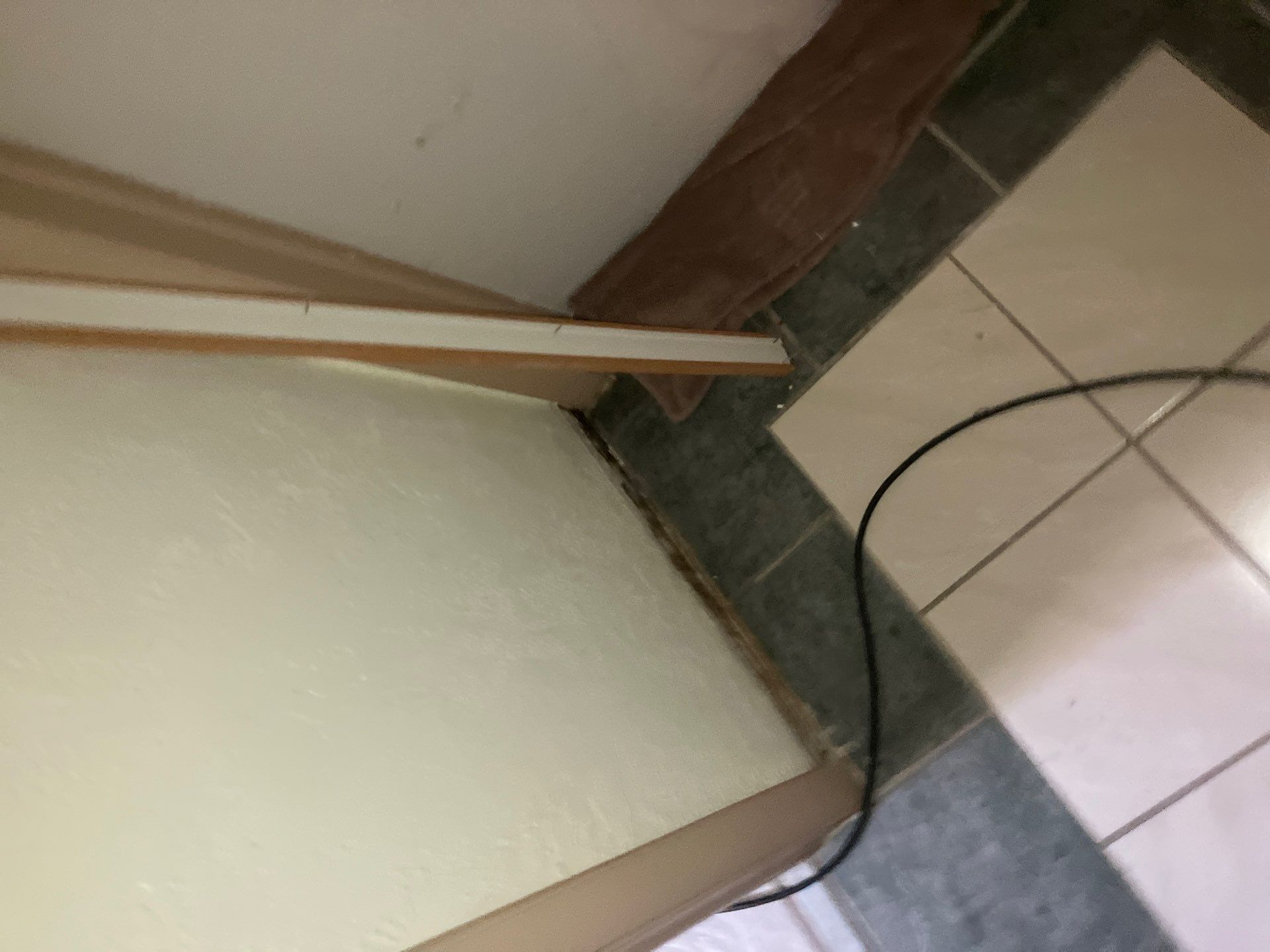 St. Pete Water Damage Mitigation by Ampm Restoration Services