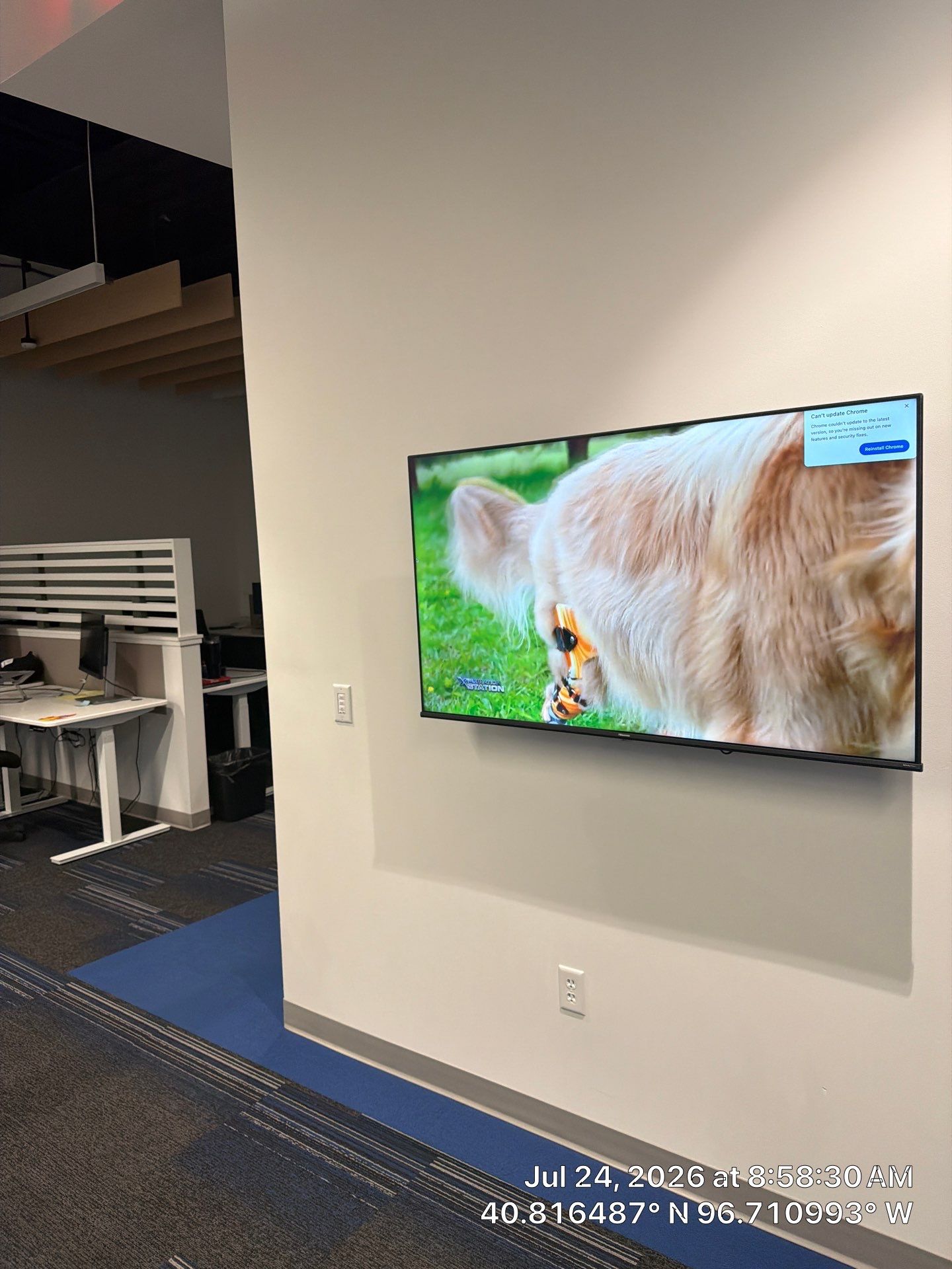Lincoln Commercial Office Remodel with Glass Doors and Acoustic Baffles by CompanyCam Sales Demo
