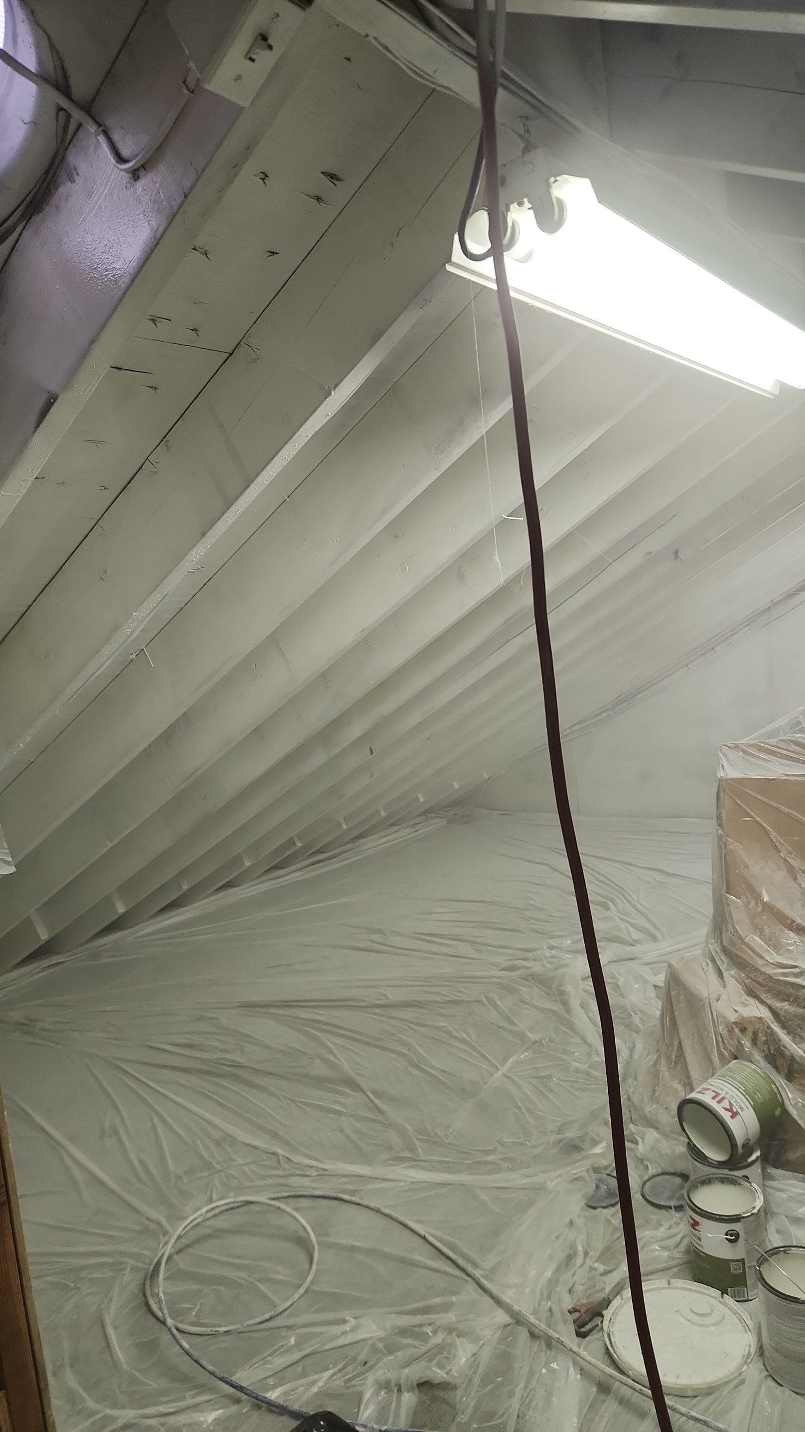 Attic Mold Remediation in Montville, NJ by Pure Service Pro, LLC