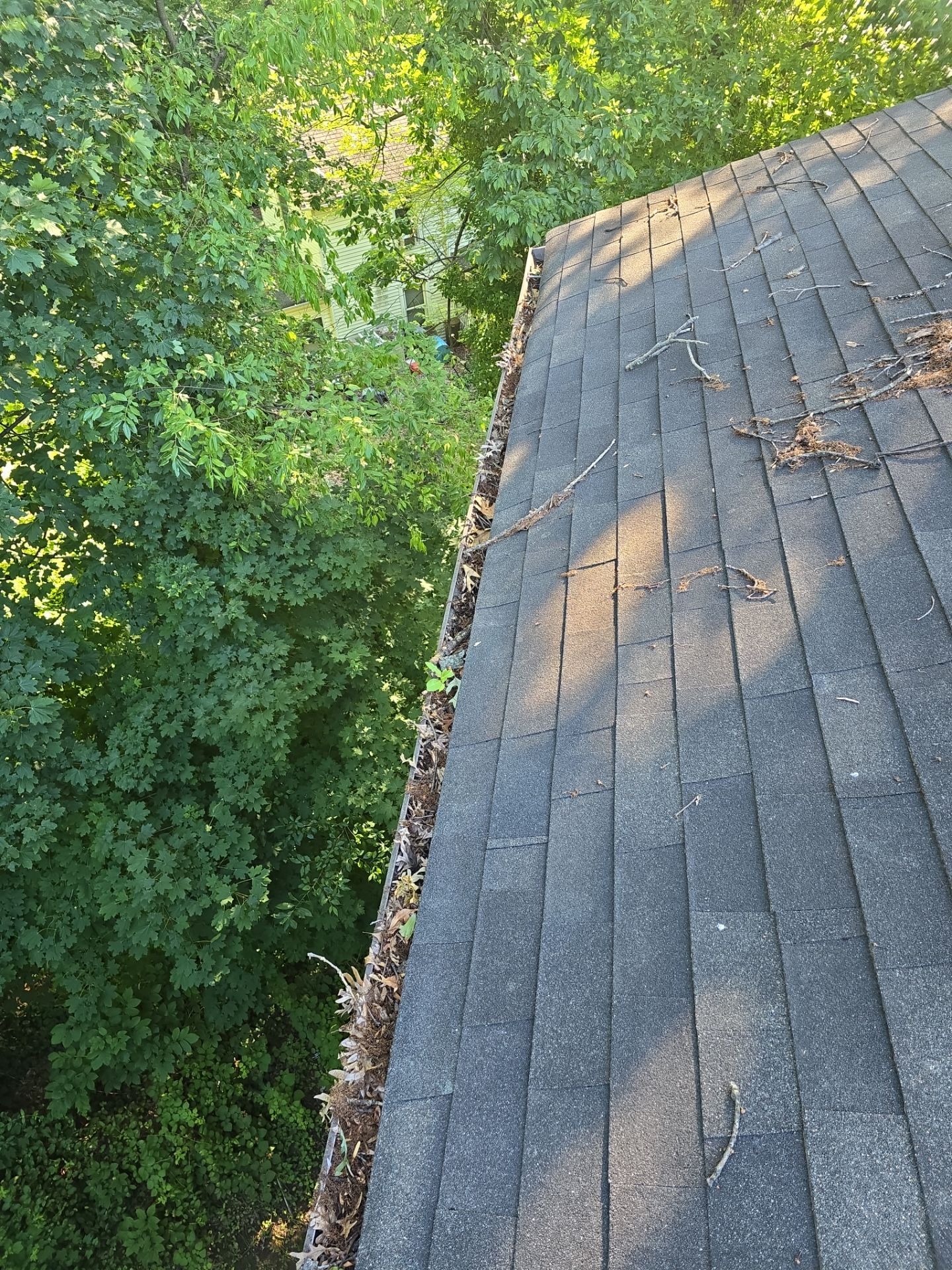 Commercial gutter cleaning Wilmington before photo with filled gutters