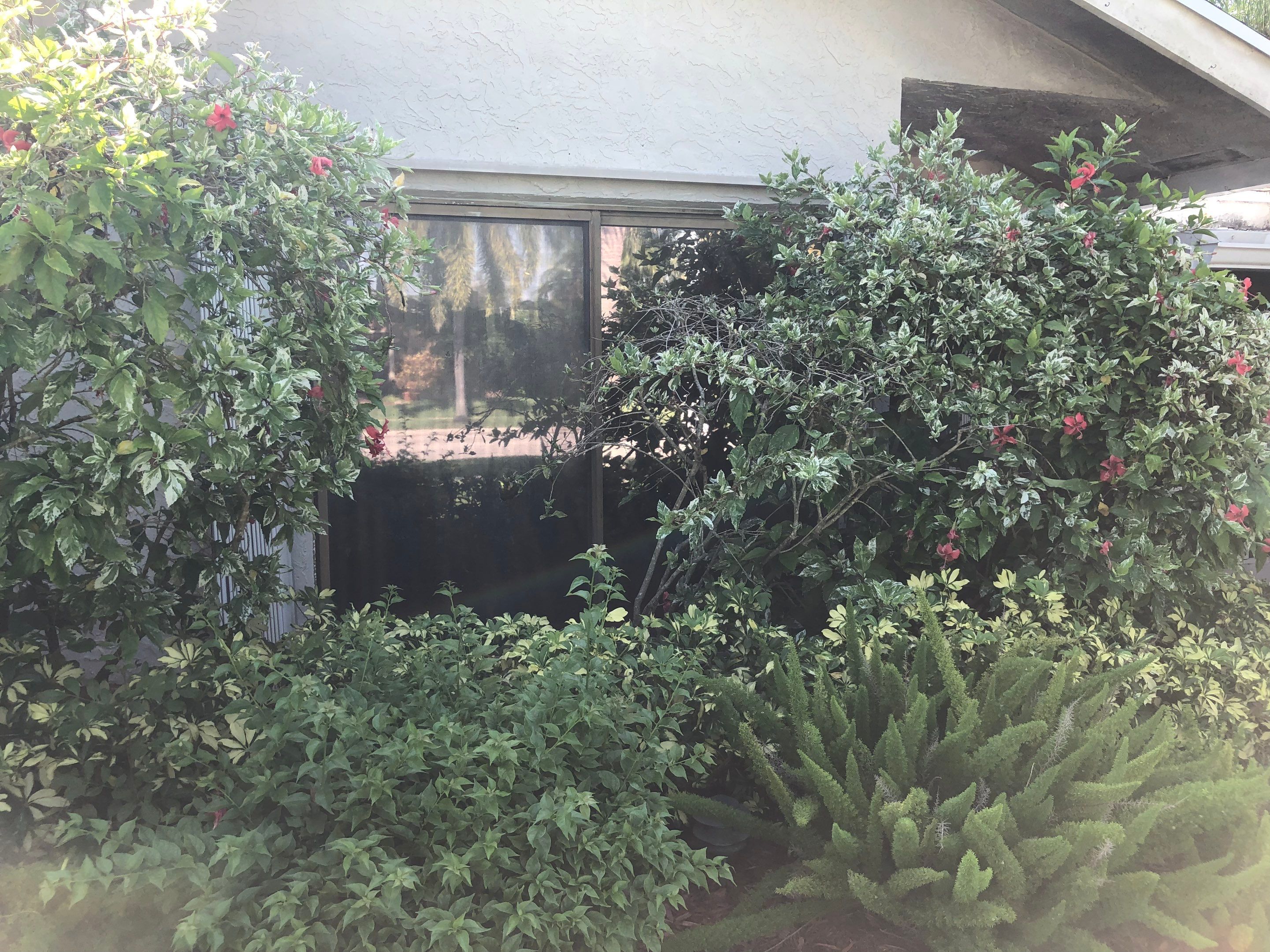 Impact Window Installation & Sliding Glass Door to Window Conversion – Coconut Creek, FL by The Door Doctor of South Florida, Inc.