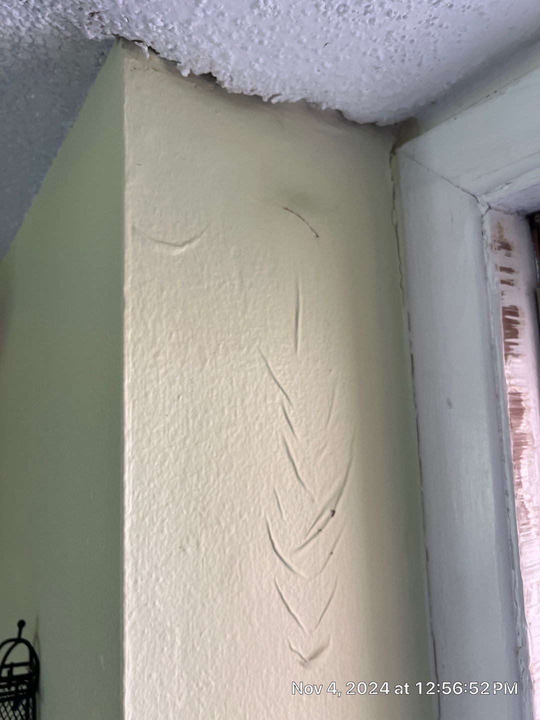 Pebble Springs Mold Remediation by Ampm Restoration Services