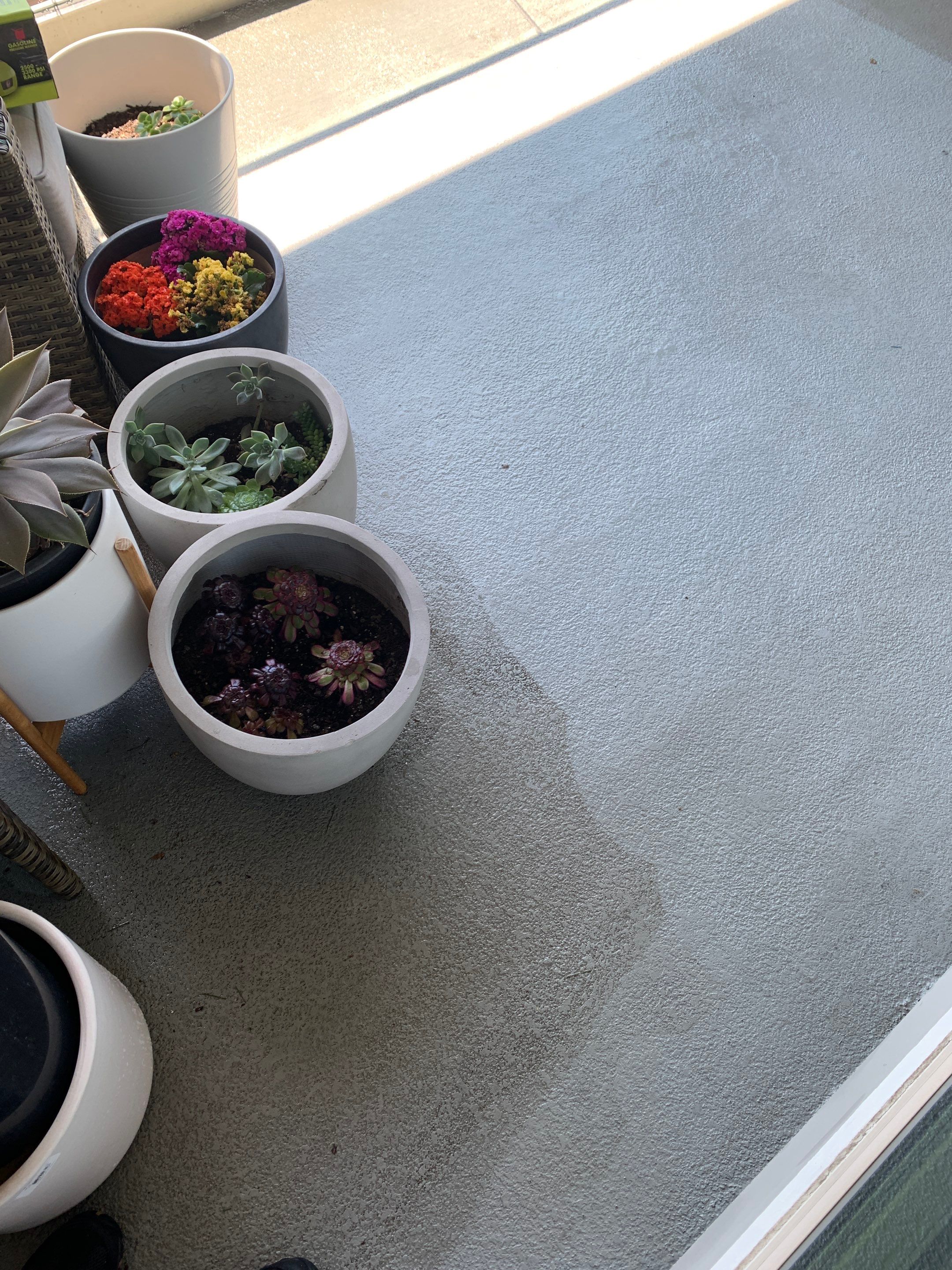  Alexis Lanaux by SpotFree Window Cleaning