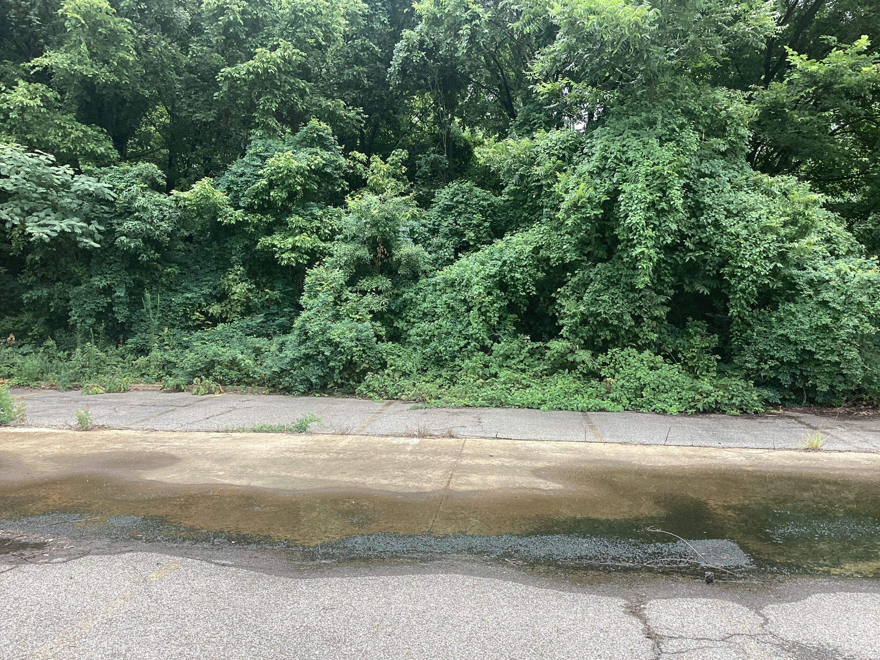 Memphis, TN by Ironhorn Enterprises