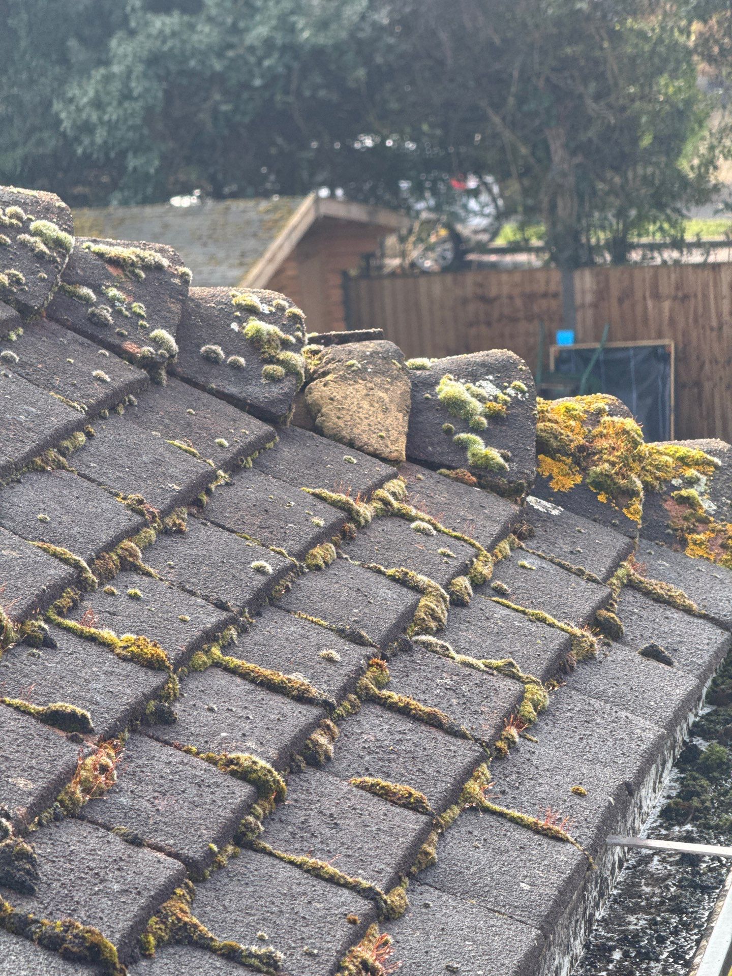 Exterior Clean - Roof - Patio - Driveway using Honda 15lpm Low Pressure Washing Machine by Ges Exterior Cleaning ltd