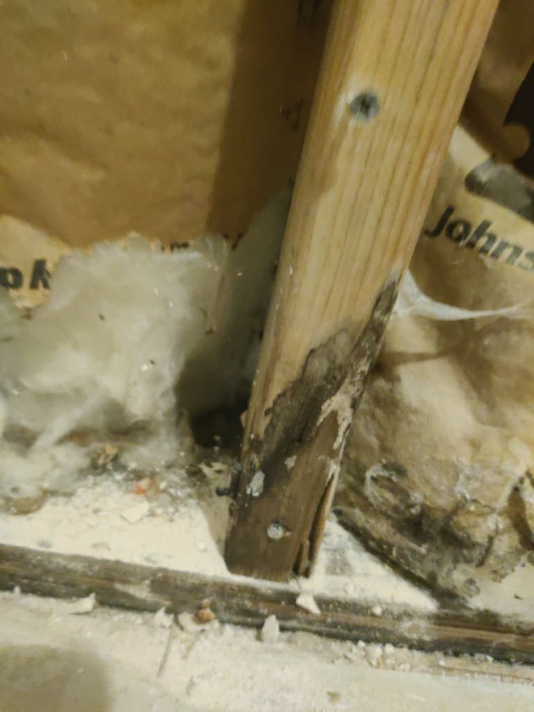 Water Damage Repair by Accountable Home Services