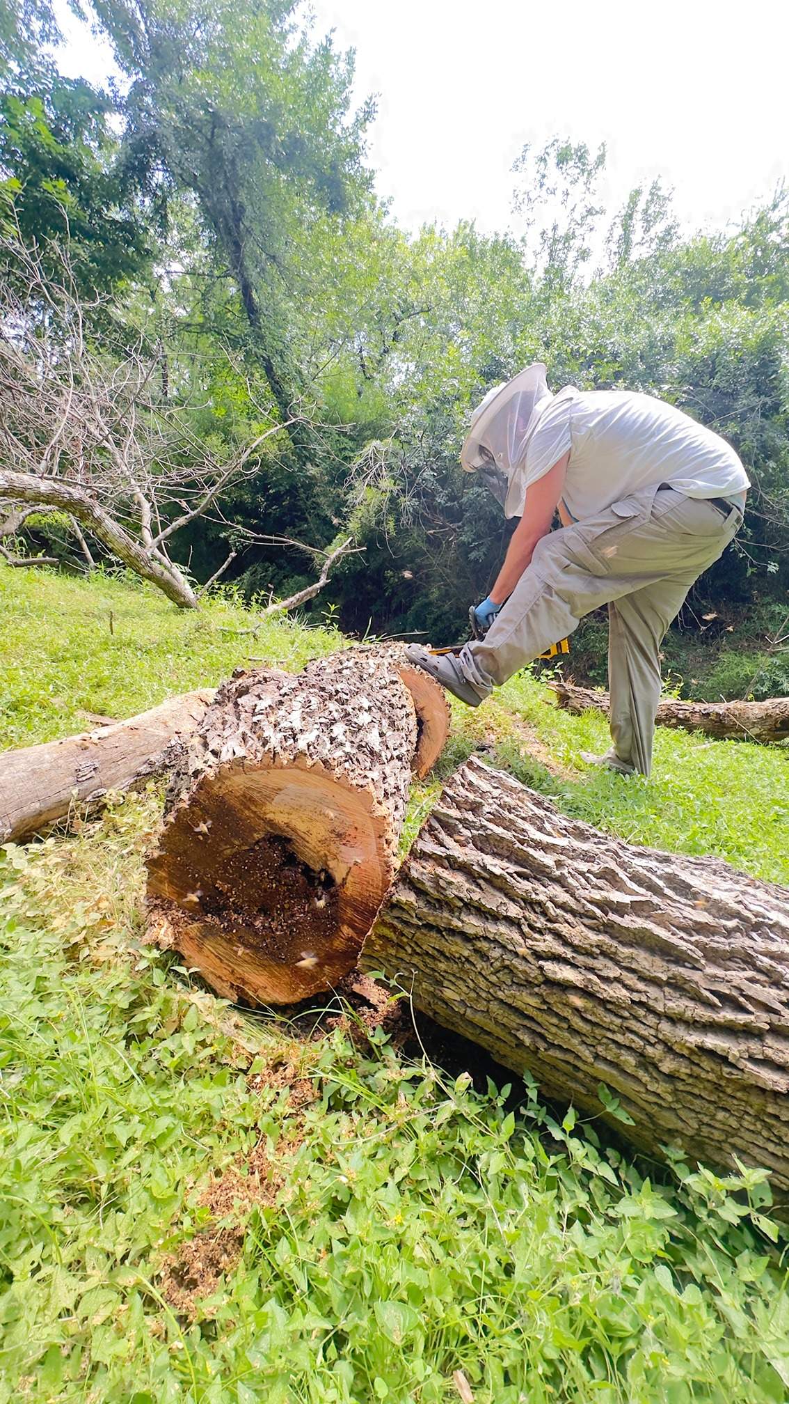 Two Trees One Yard by Rockwall Honey Bee Company