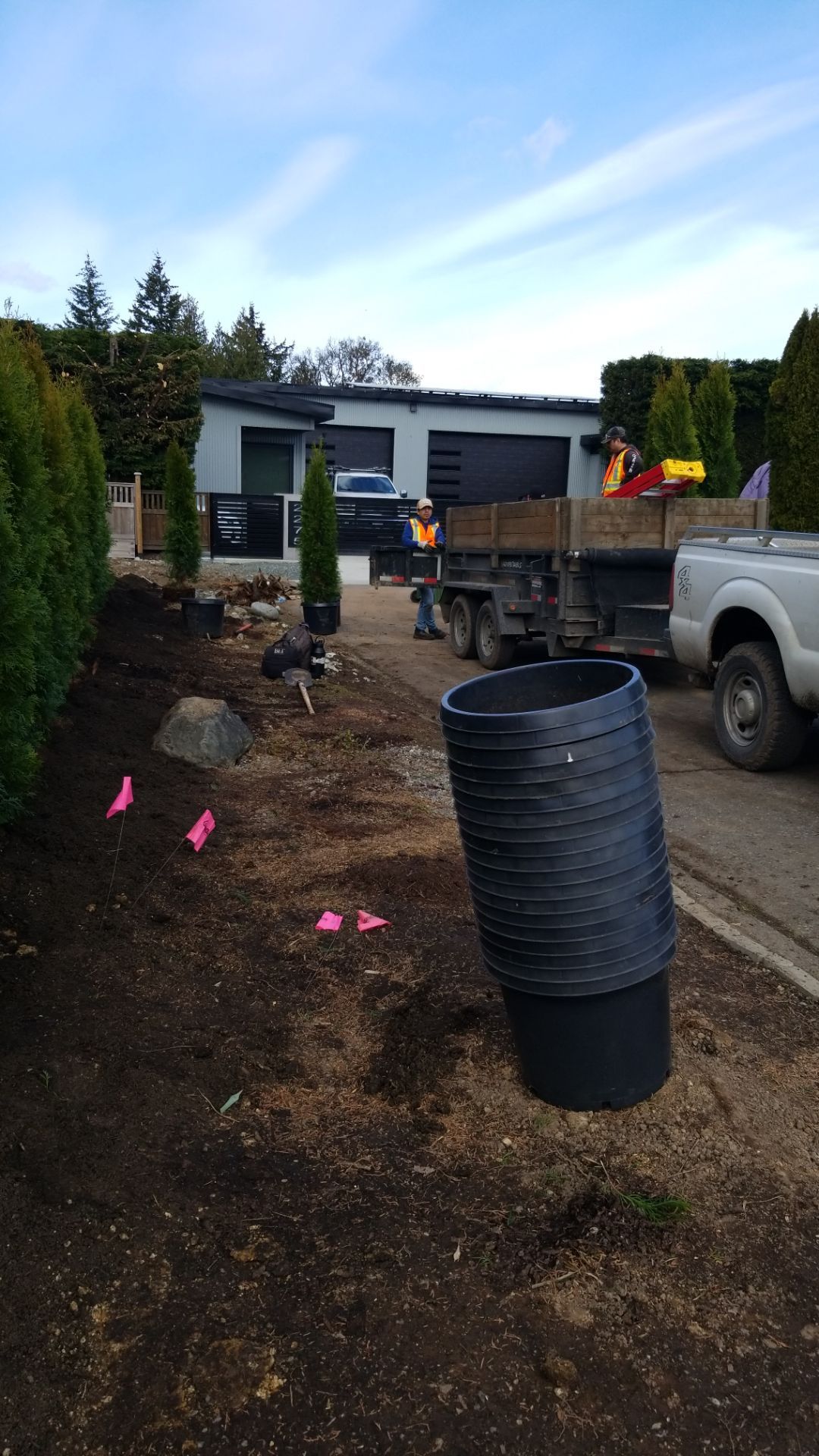 Emerald Cedar Hedge and Irrigation Installation – Enhancing a West Coast Front Yard by Habanero Garden and Exterior Care