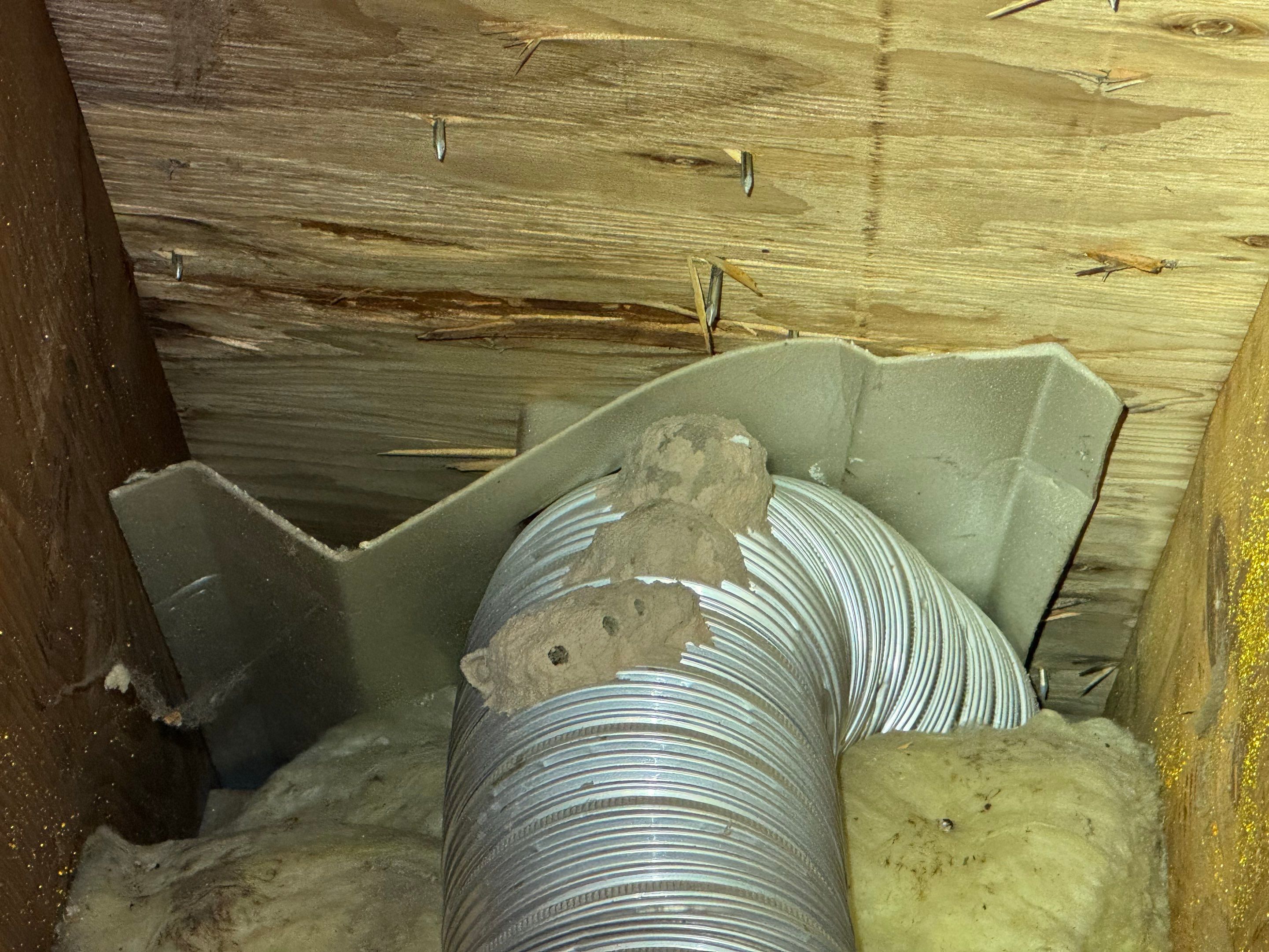 Bathroom Mold Remediation by Home Guarantee, LLC