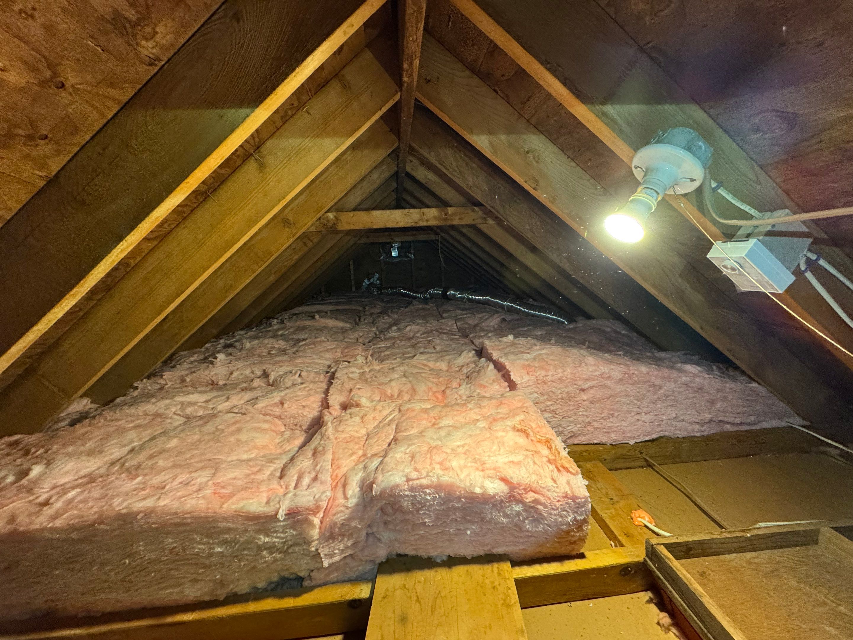Attic Mold Remediation using Home Guarantee by Home Guarantee, LLC