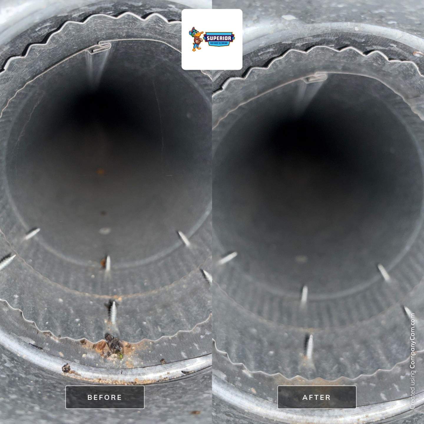 Air Duct Cleaning With a Vacuum Truck in Transfer, PA by Superior Air Duct Cleaning