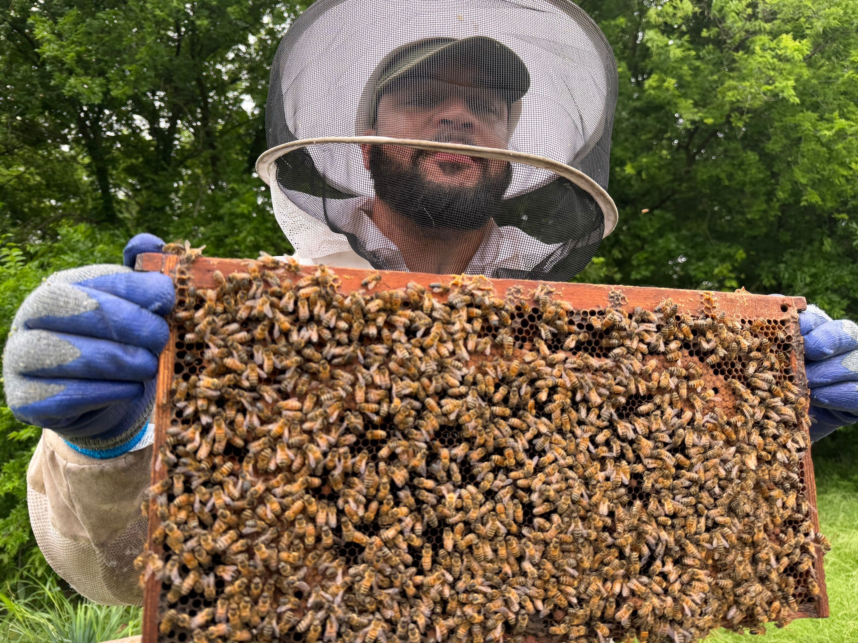 Special Use Valuation in McClendon-Chisolm by Rockwall Honey Bee Company