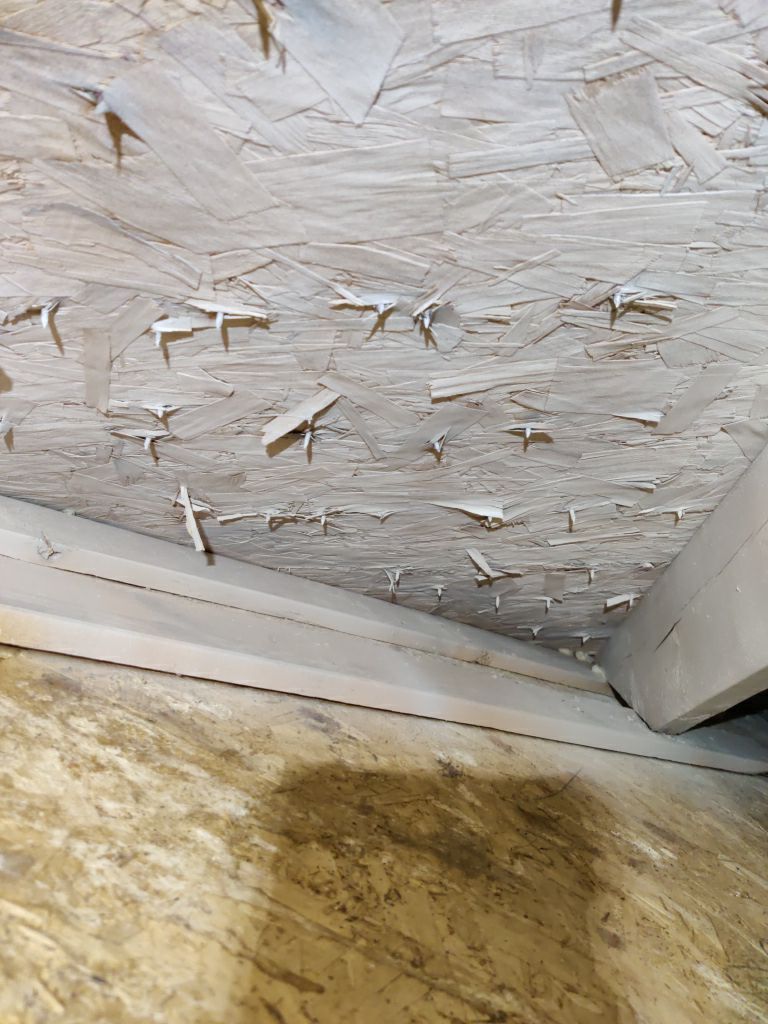 Mold Remediation Cleanup in Attic by Accountable Home Services